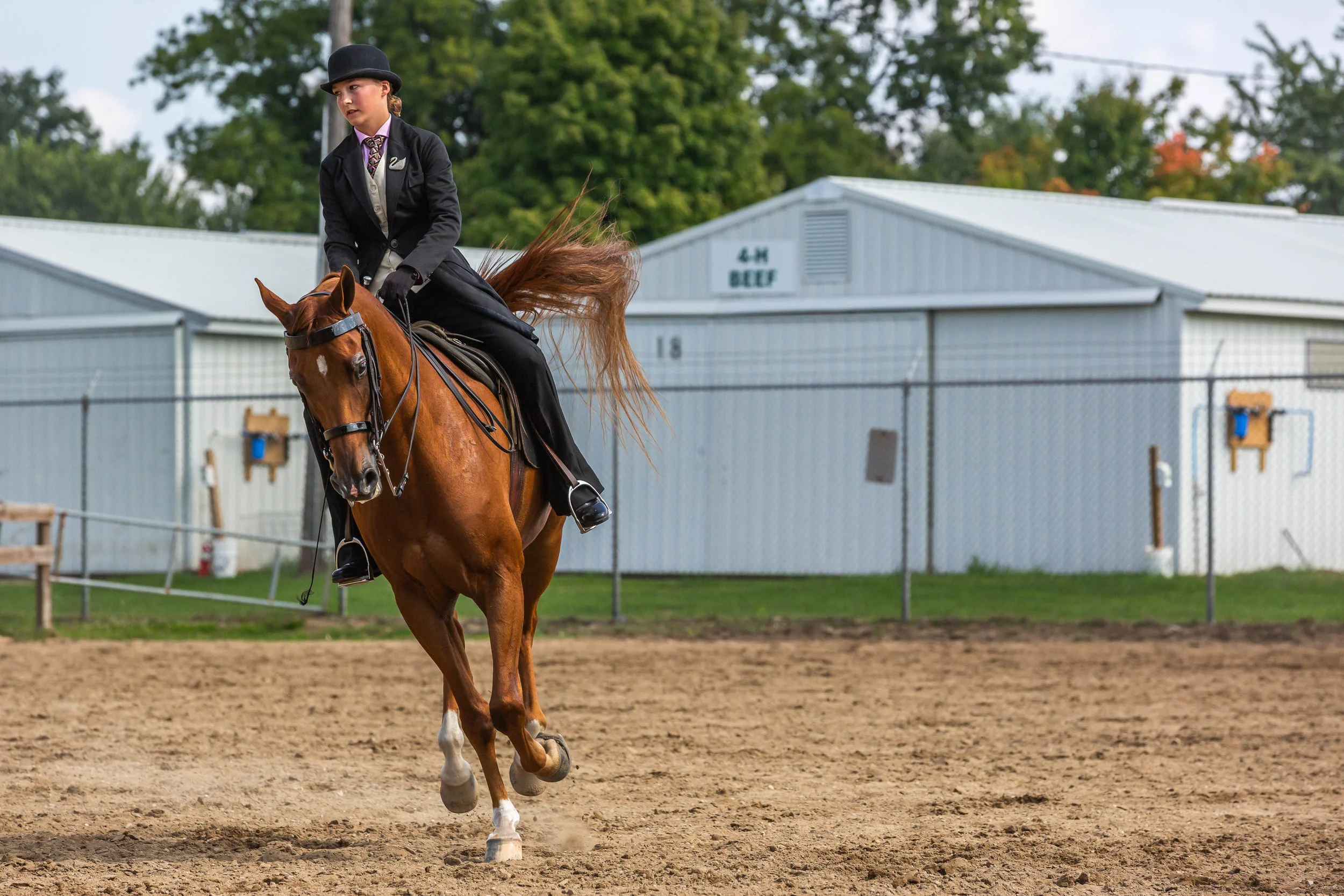 Andrea Horse (7 of 39).jpg