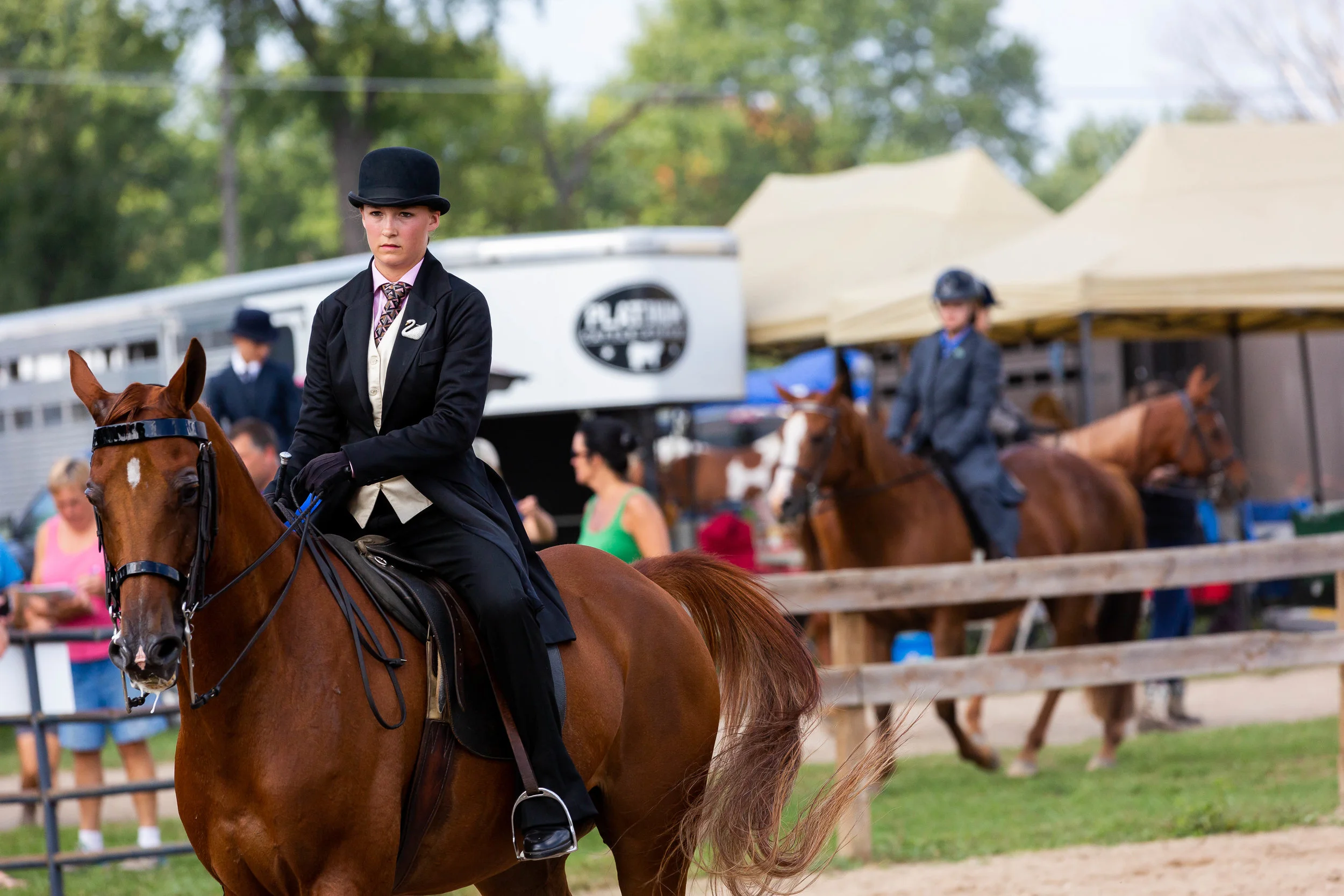Andrea Horse (9 of 39).jpg