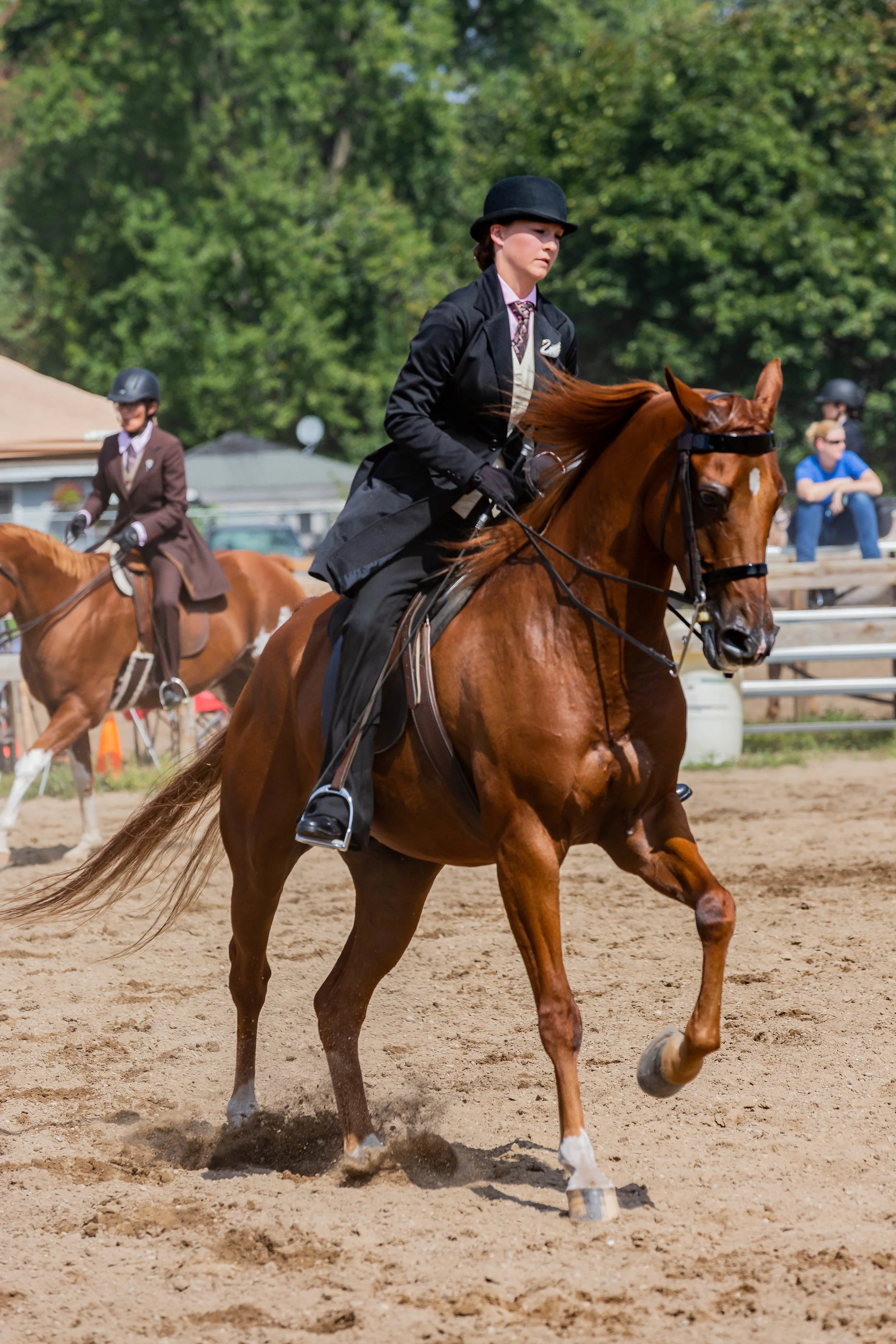 Andrea Horse (25 of 39).jpg