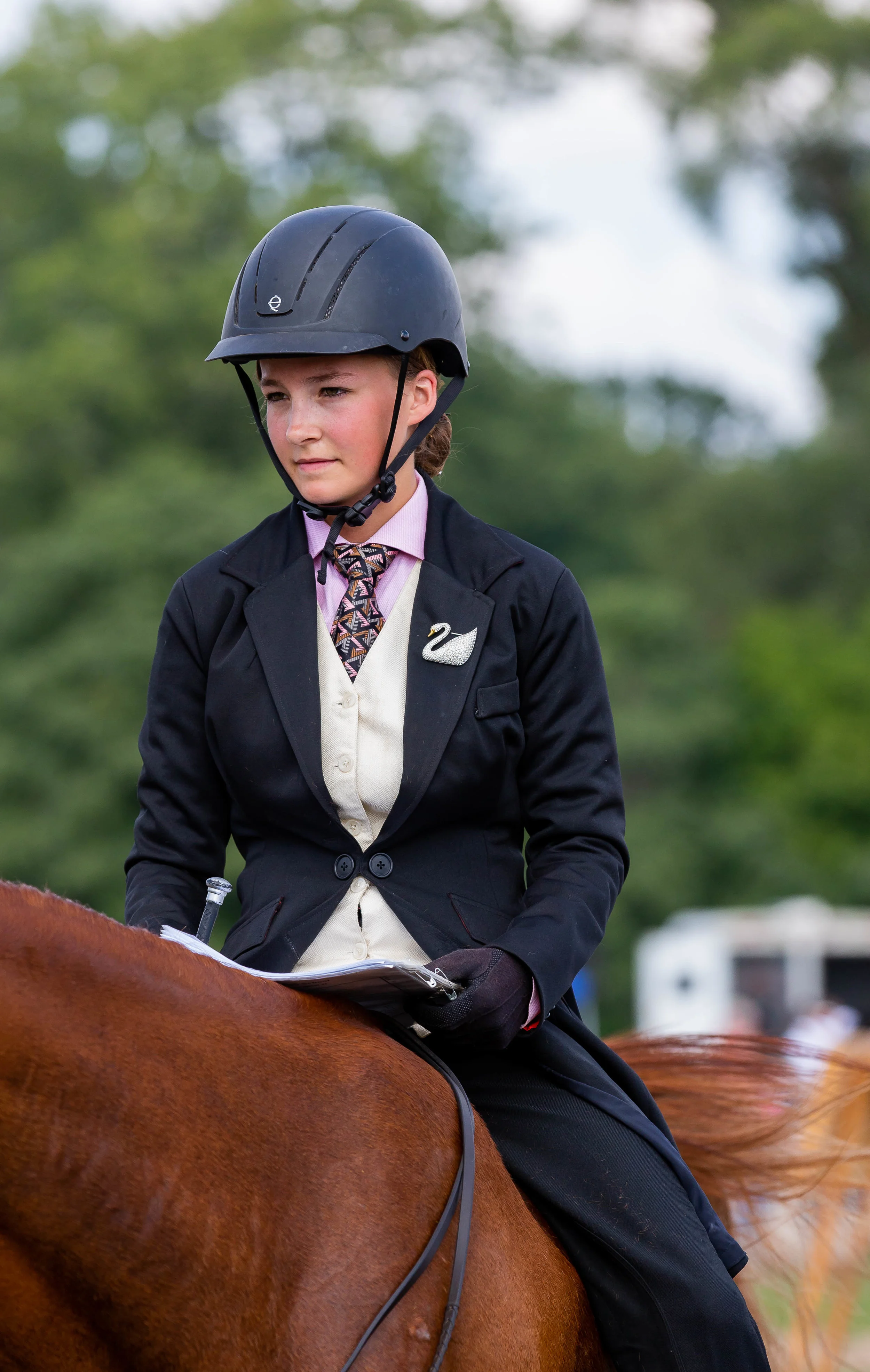 Andrea Horse (31 of 39).jpg