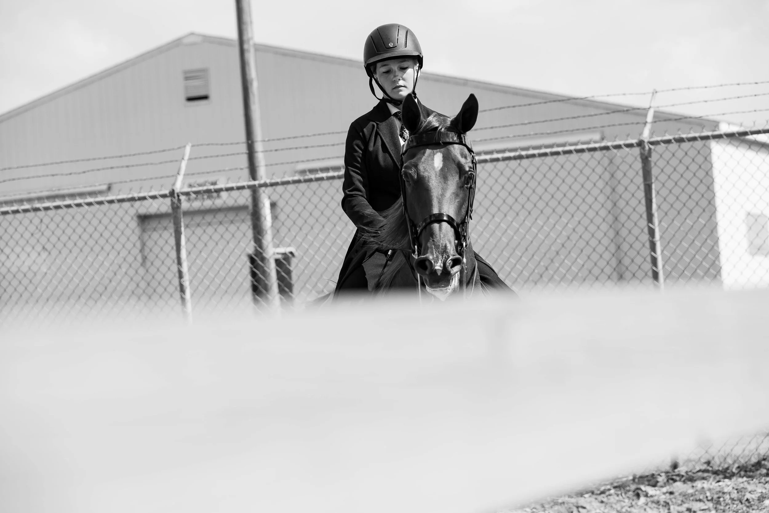 Andrea Horse (35 of 39).jpg
