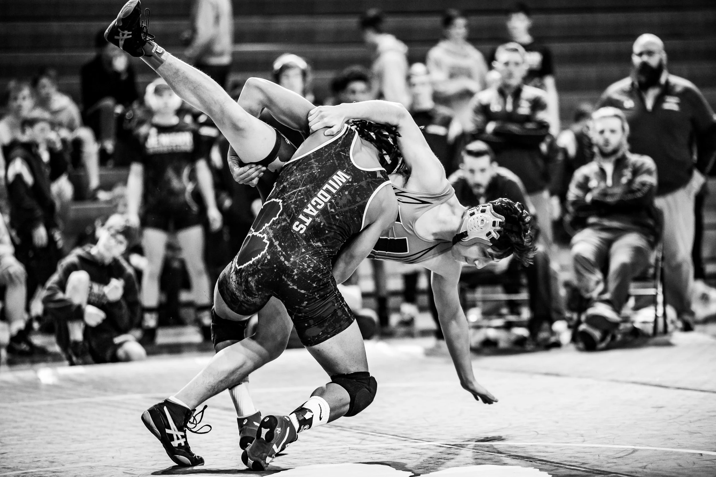 Wrestle-3.jpg