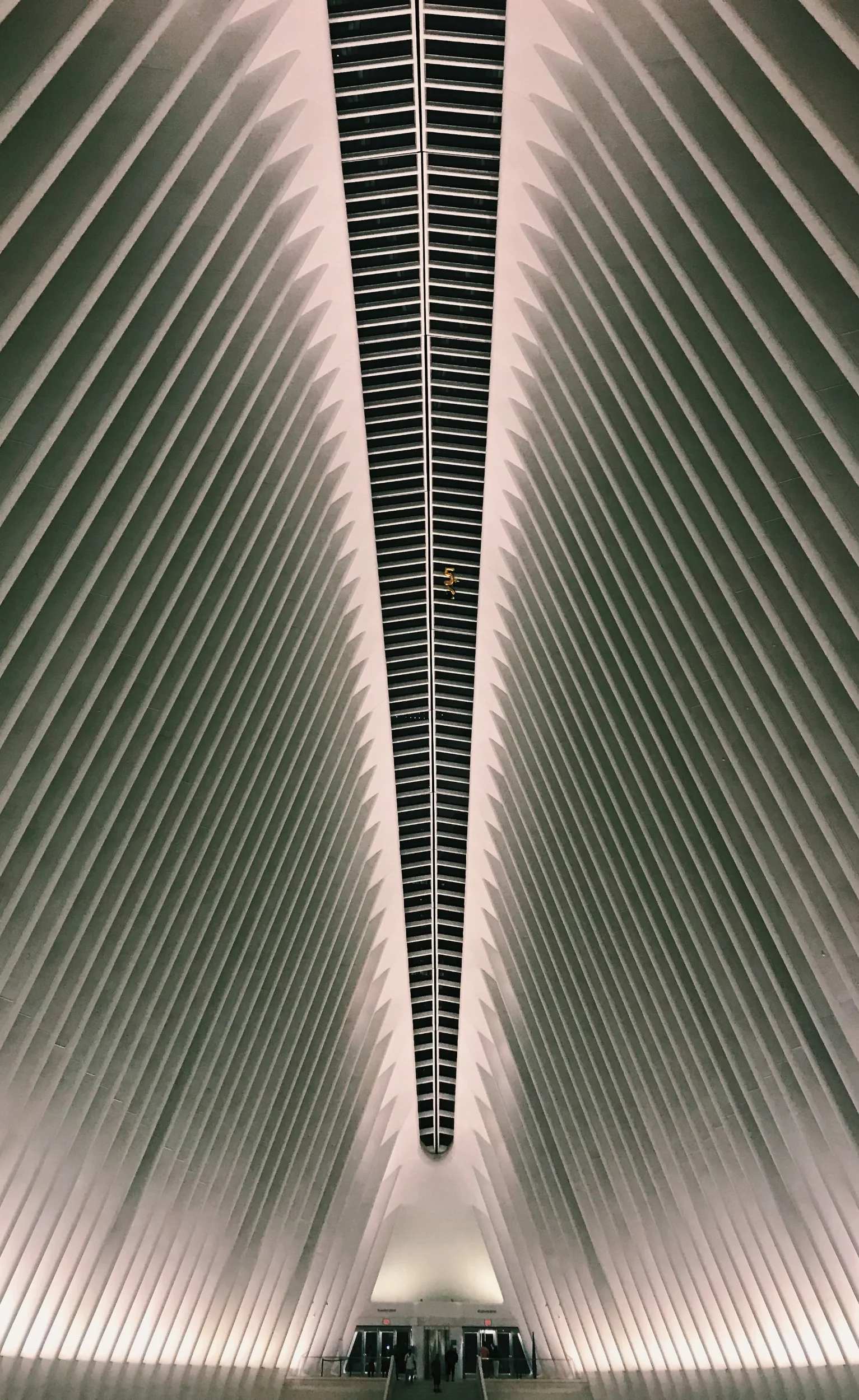 7F03FB54-F391-4365-8798-232B0168F77B.JPG