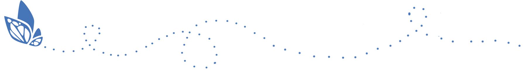 butterfly spacer 2 reverse.png