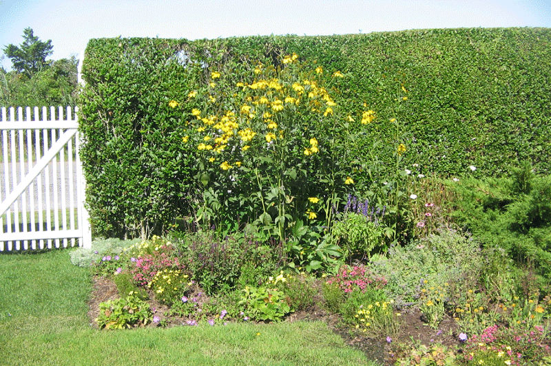 Southampton Nursery Landscaping Services in Southampton, NY