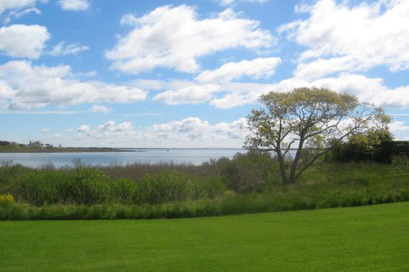 Southampton Nursery Landscaping Services in Southampton, NY