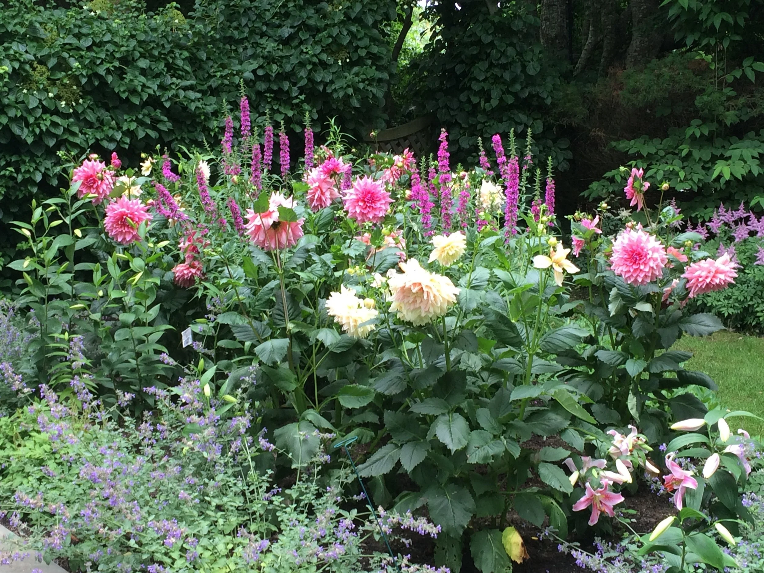 Southampton Nursery Landscaping Services in Southampton, NY