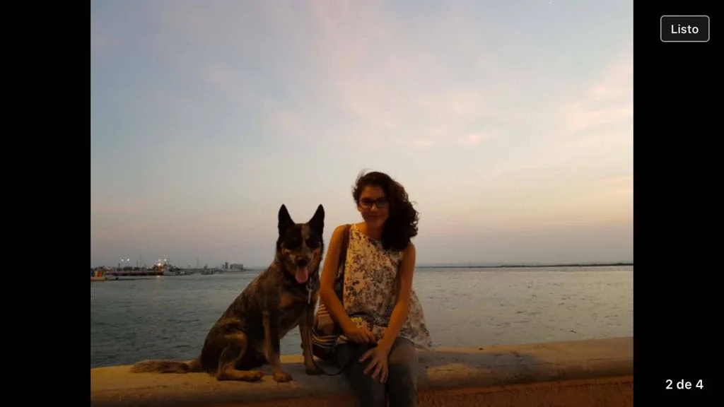 WhatsApp Image 2017-10-12 at 16.20.53 (2).jpeg