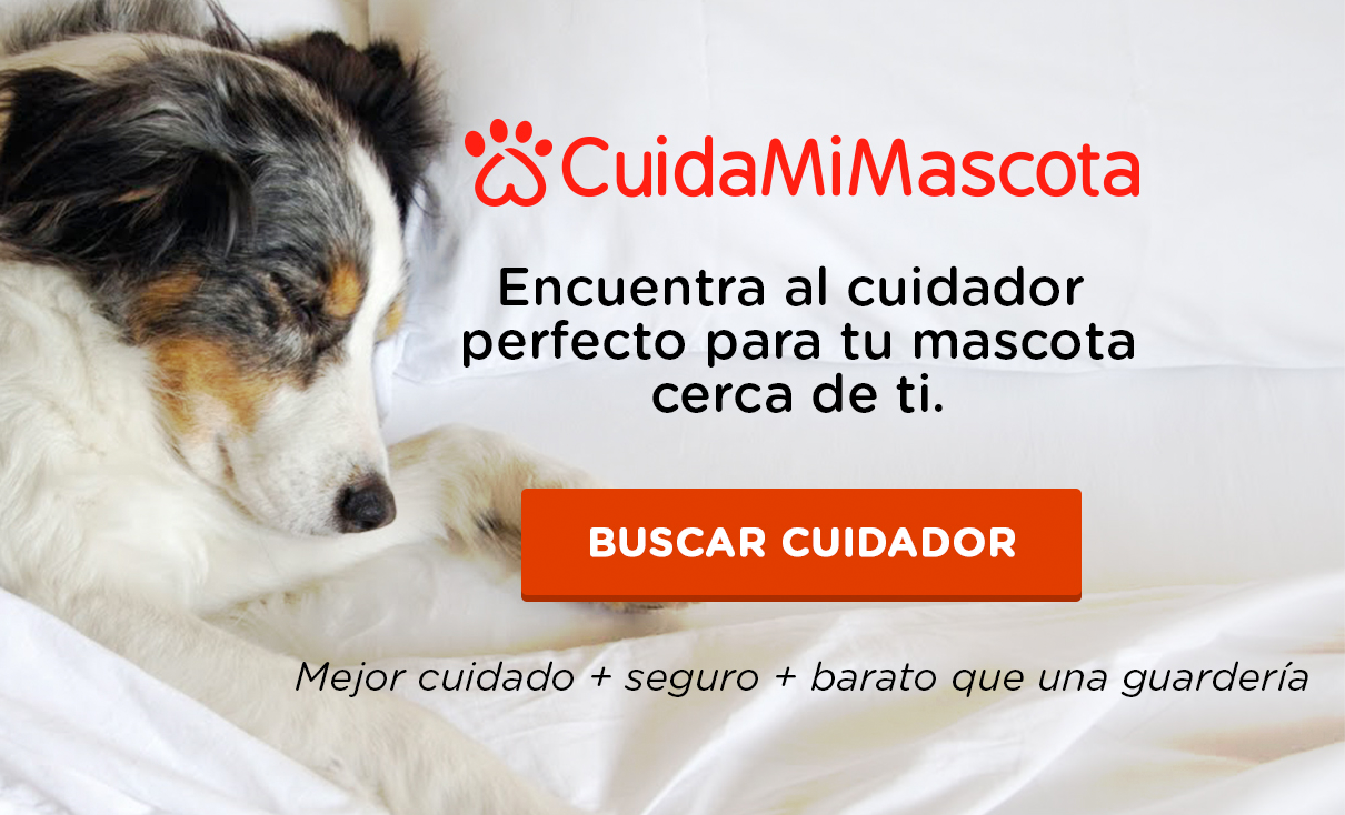 banner_cuidamimascota2.png