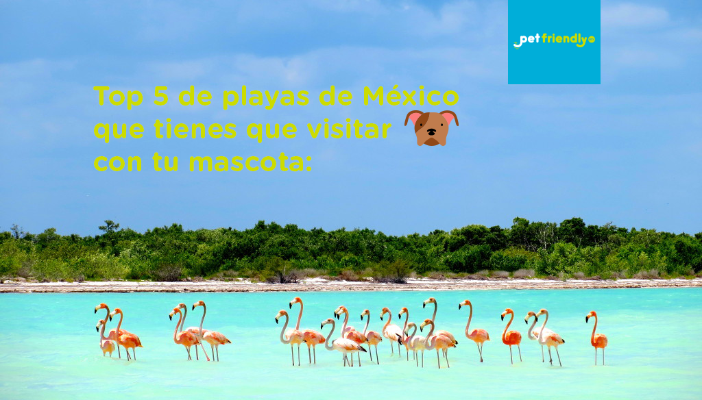 holbox.png