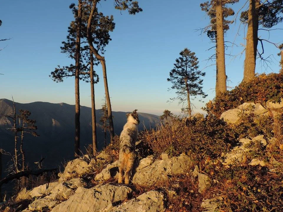 Luna explorando El Potosí.