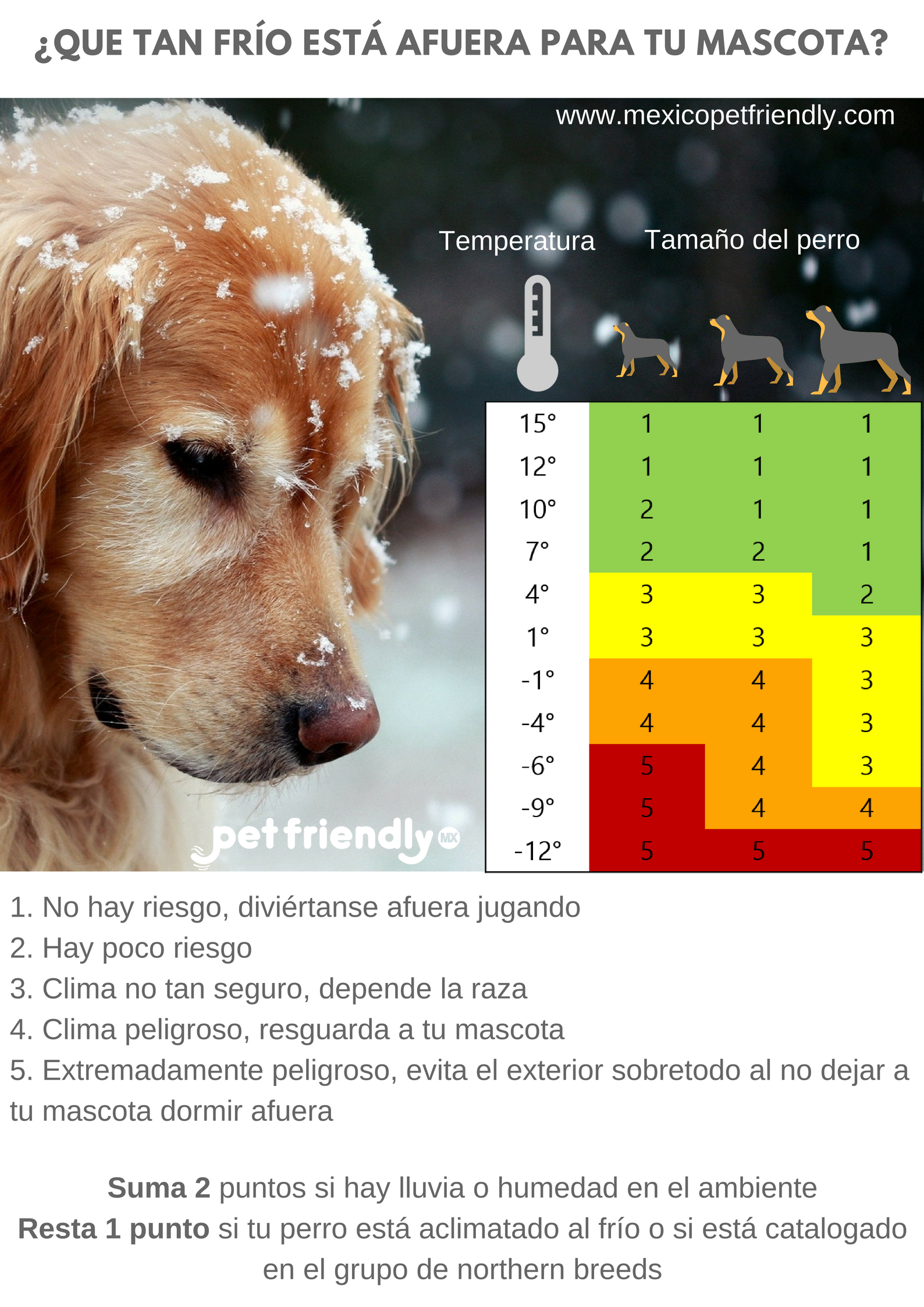 ¿Que tan frío está afuera para tu mascota_ (1).png