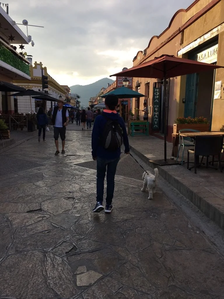 IMG-20180424-WA0012.jpg
