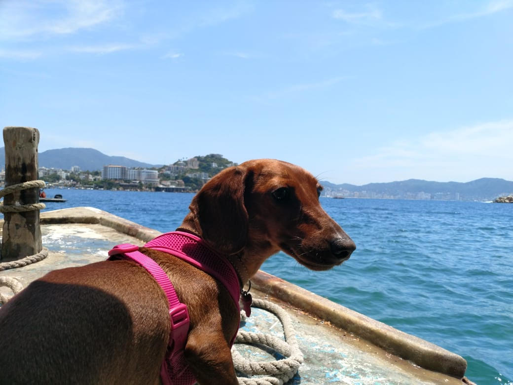 acapulco6.jpg