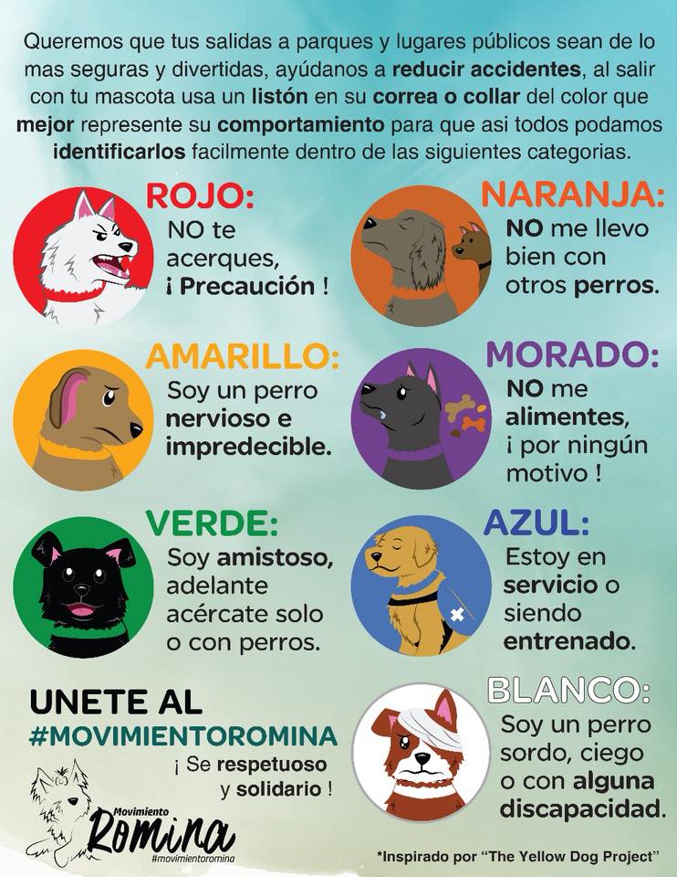 peso Automatización Gran roble Que hacer si tu perro es agresivo — México Pet-Friendly