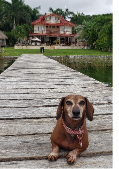 restaurantes tulum.png