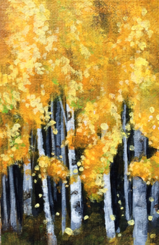 Lil Aspens