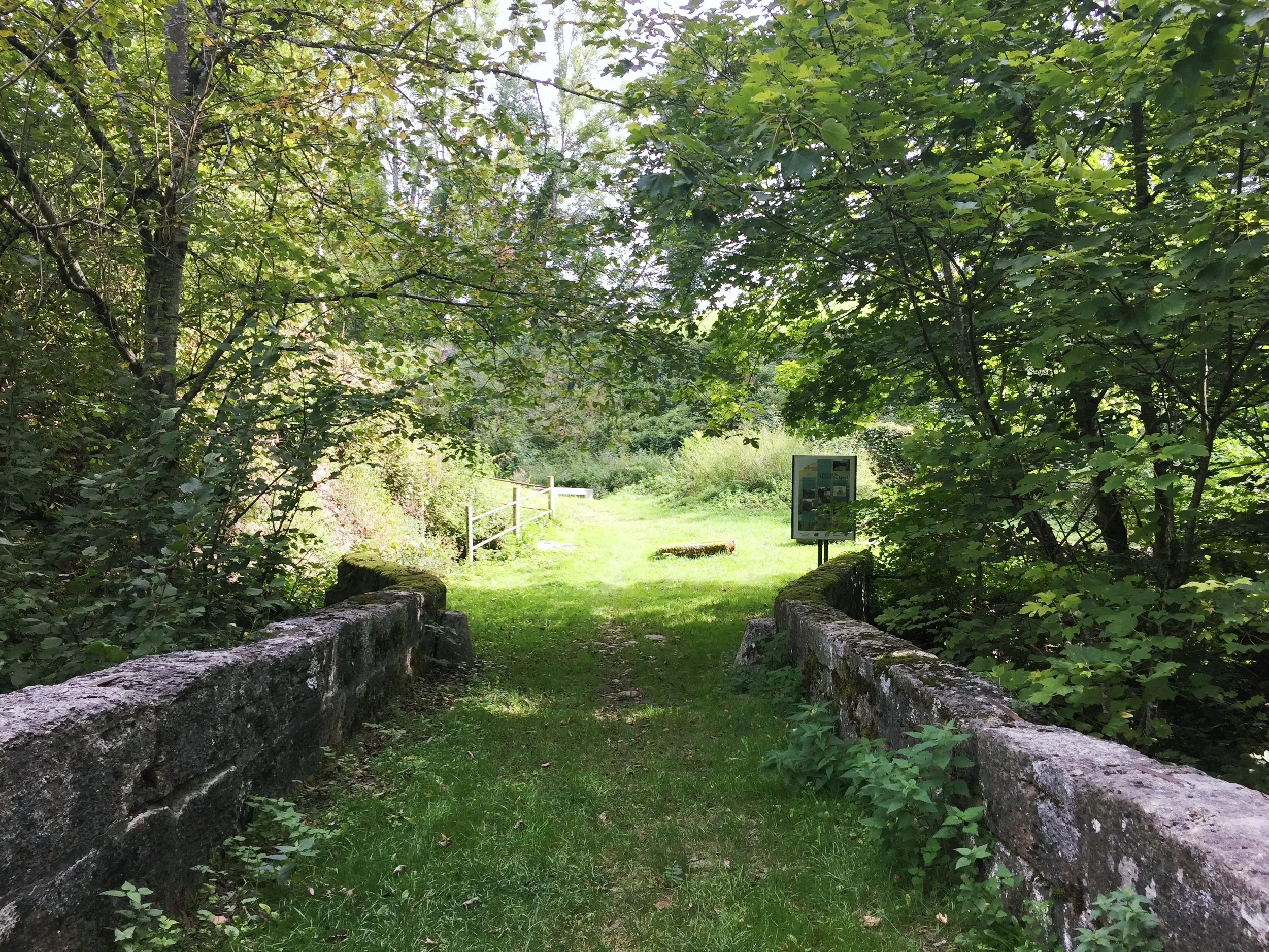 2017-09-07 11.39.13.jpg