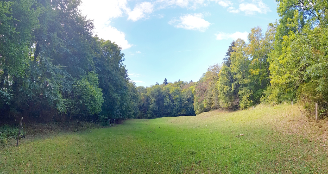 2018-10-03 14.14.04-1.jpg