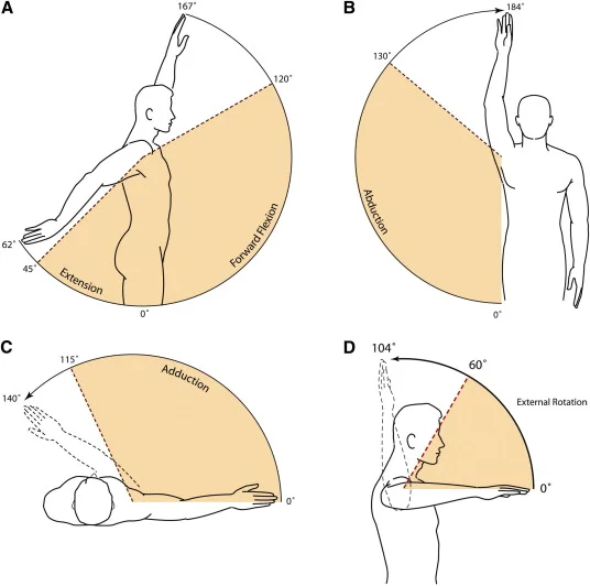 Shoulder ROM.jpg