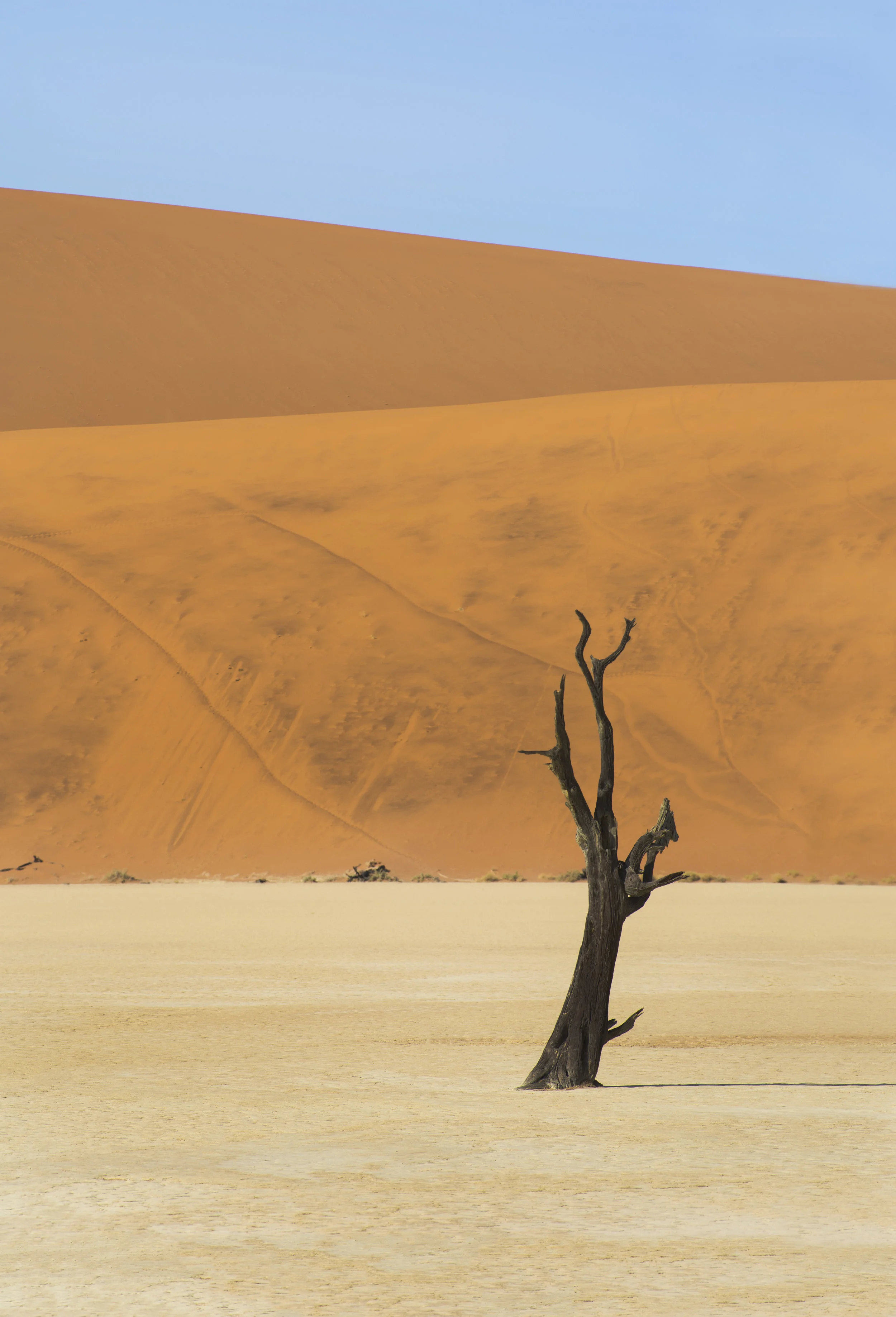 namibia 3rds.jpg