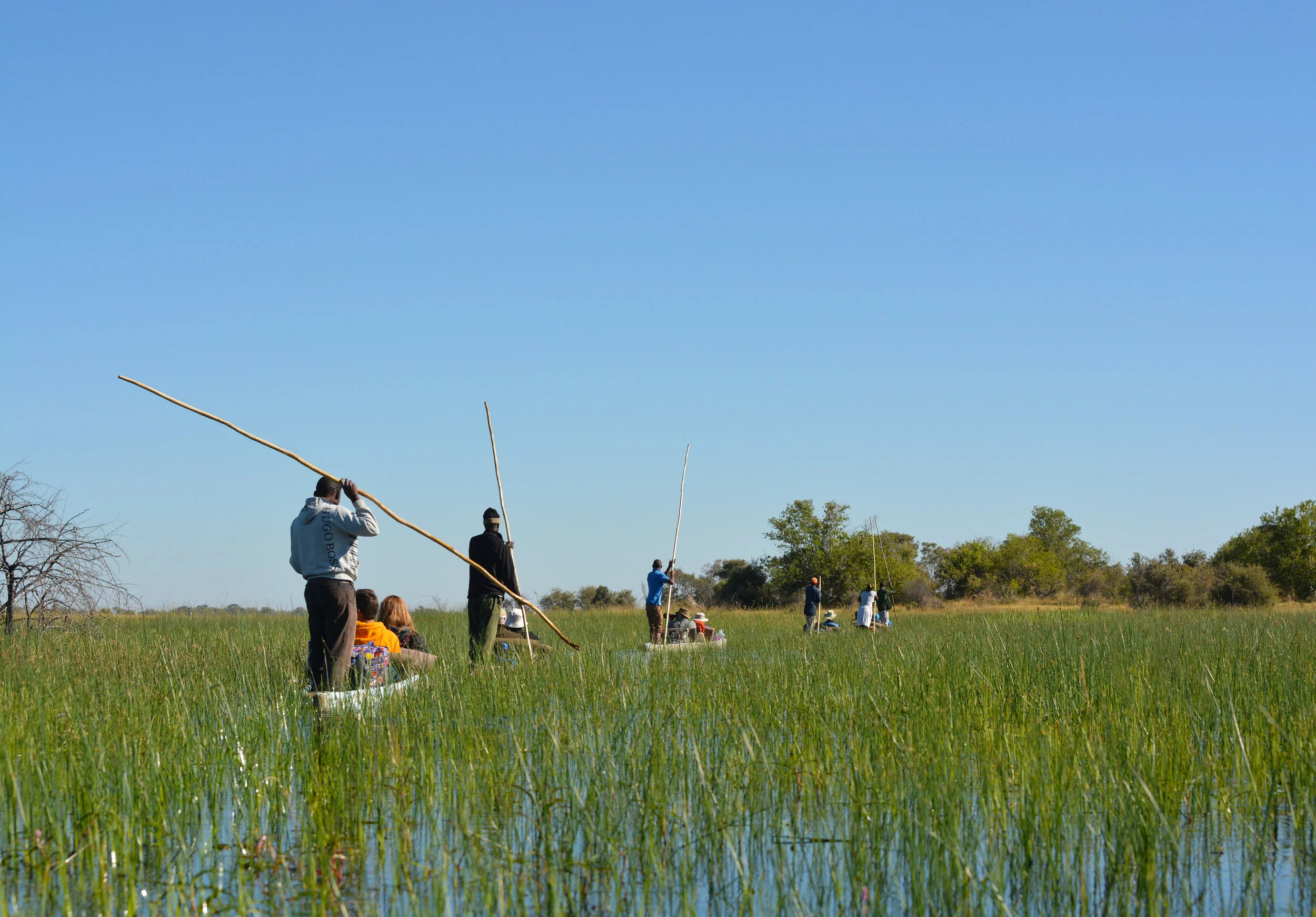okavango delta canoos.jpg