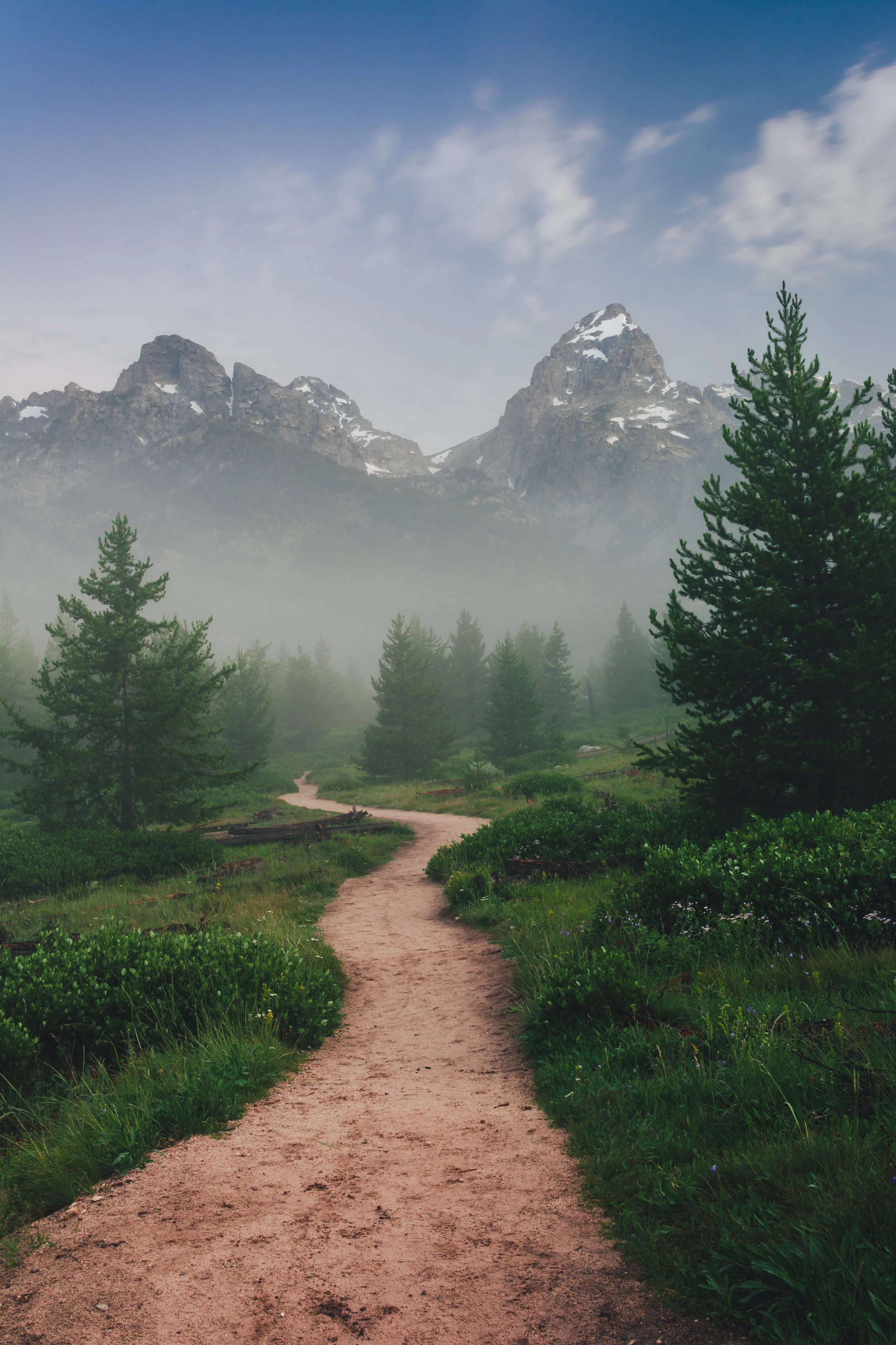 foggy morning-8569.jpg