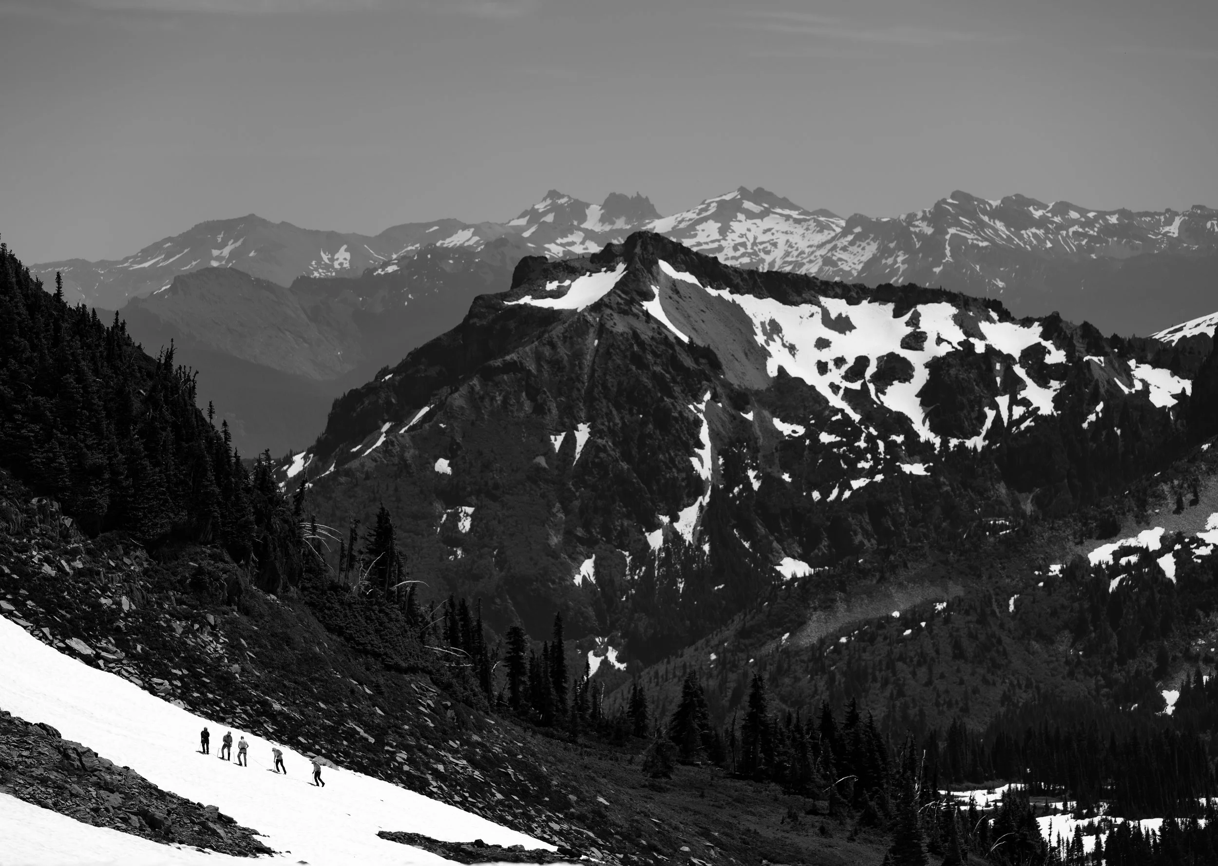 MJC_0393.jpg