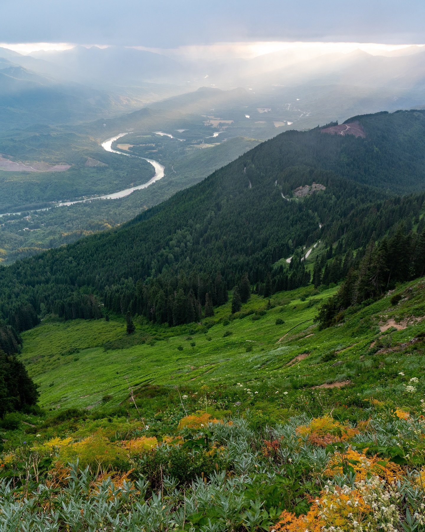 Just like every other hike in Washington, Sauk mountain last summer did not disappoint 😍