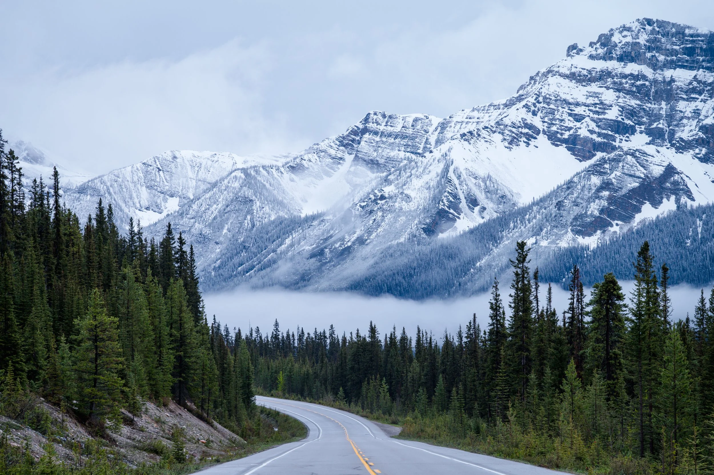 Banff-Jasper 2024-5825.jpg