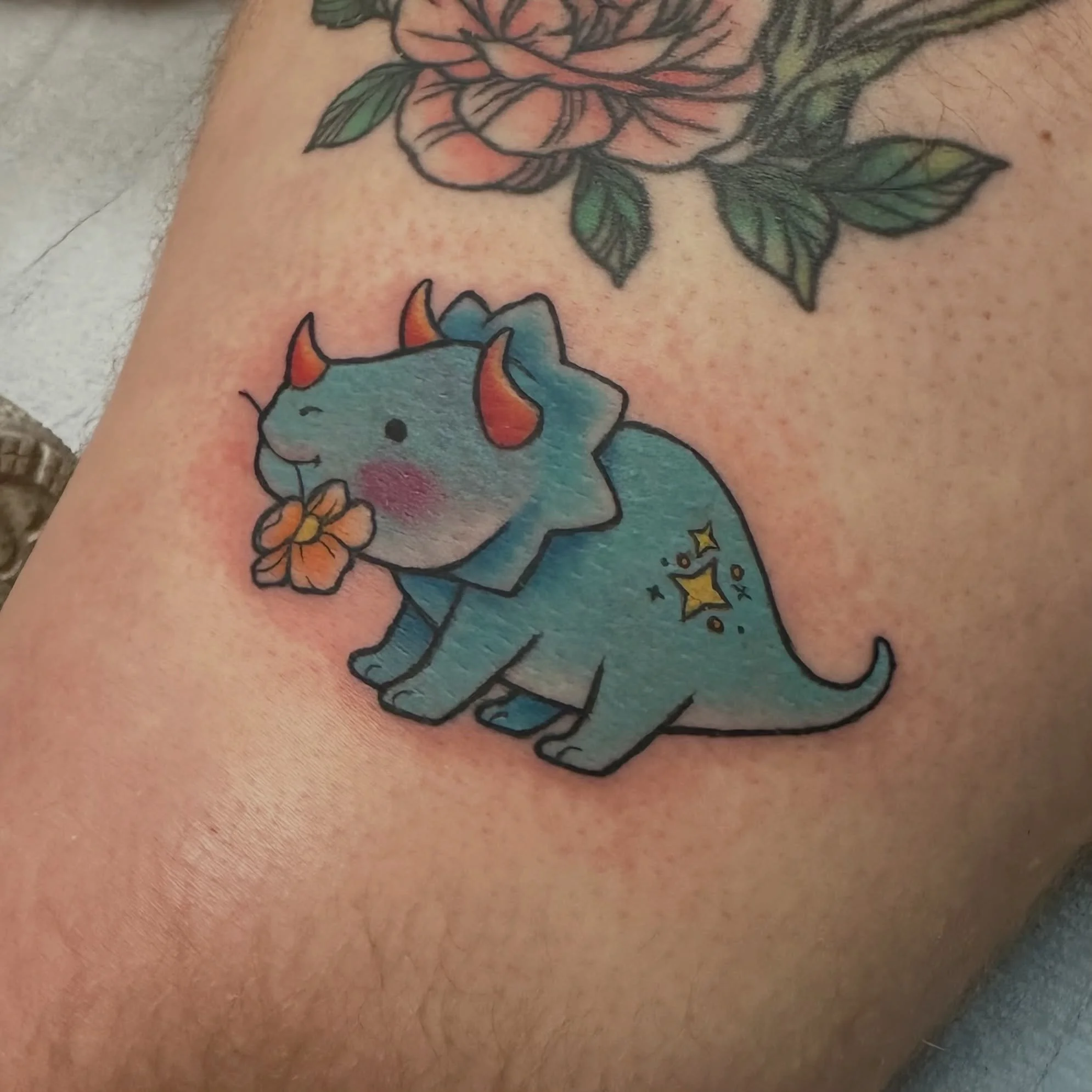 Little blue tric from my GWYG Dinos 🌼🩵

@luckygoosetattoo