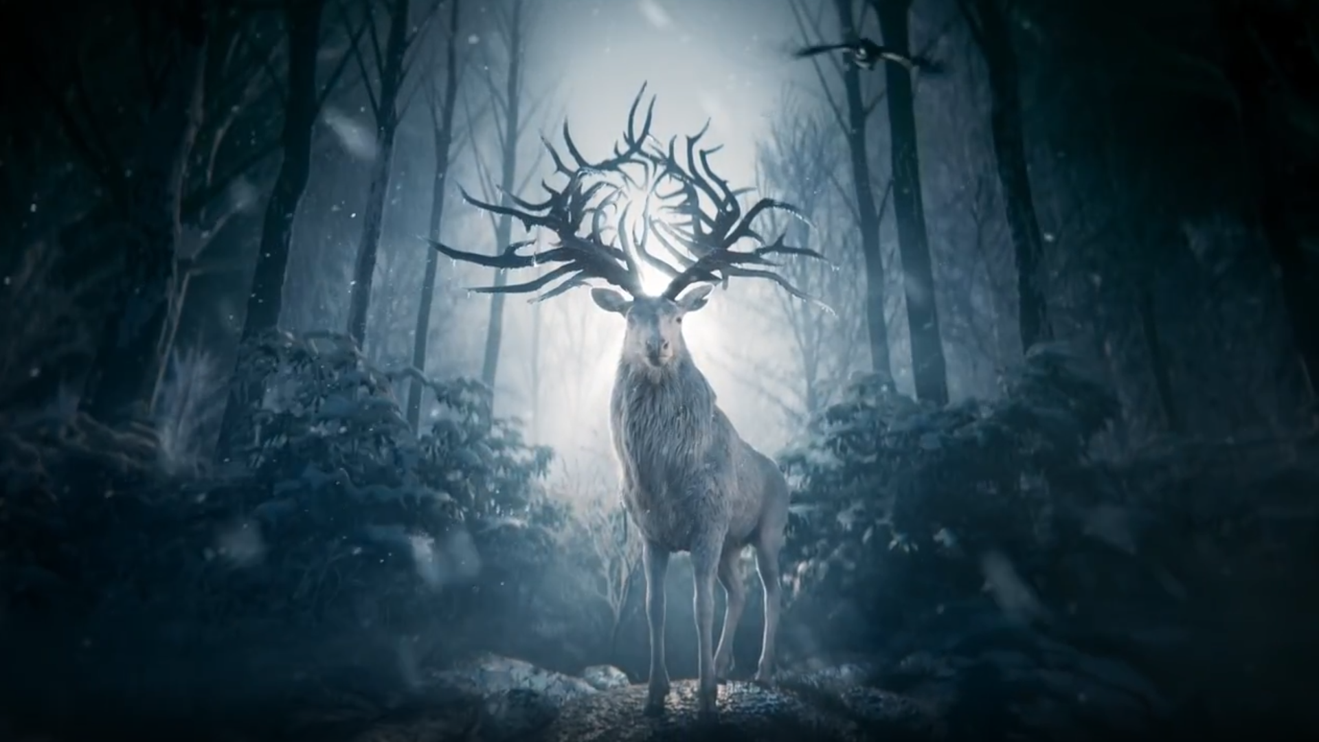 Shadow & Bone