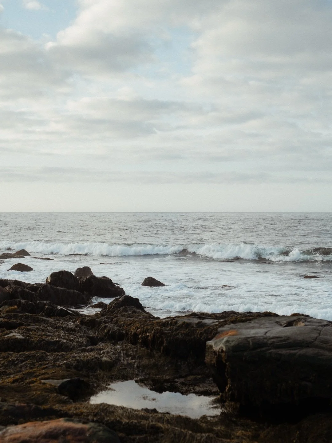 // came for the studio space, stayed for the seaside sauna 📍 @step.house.whitepoint 

spring on the coast is a hard thing to pin down. as a nature lover, i find spring to be the most challenging season of all, mostly because she is so impossible to 