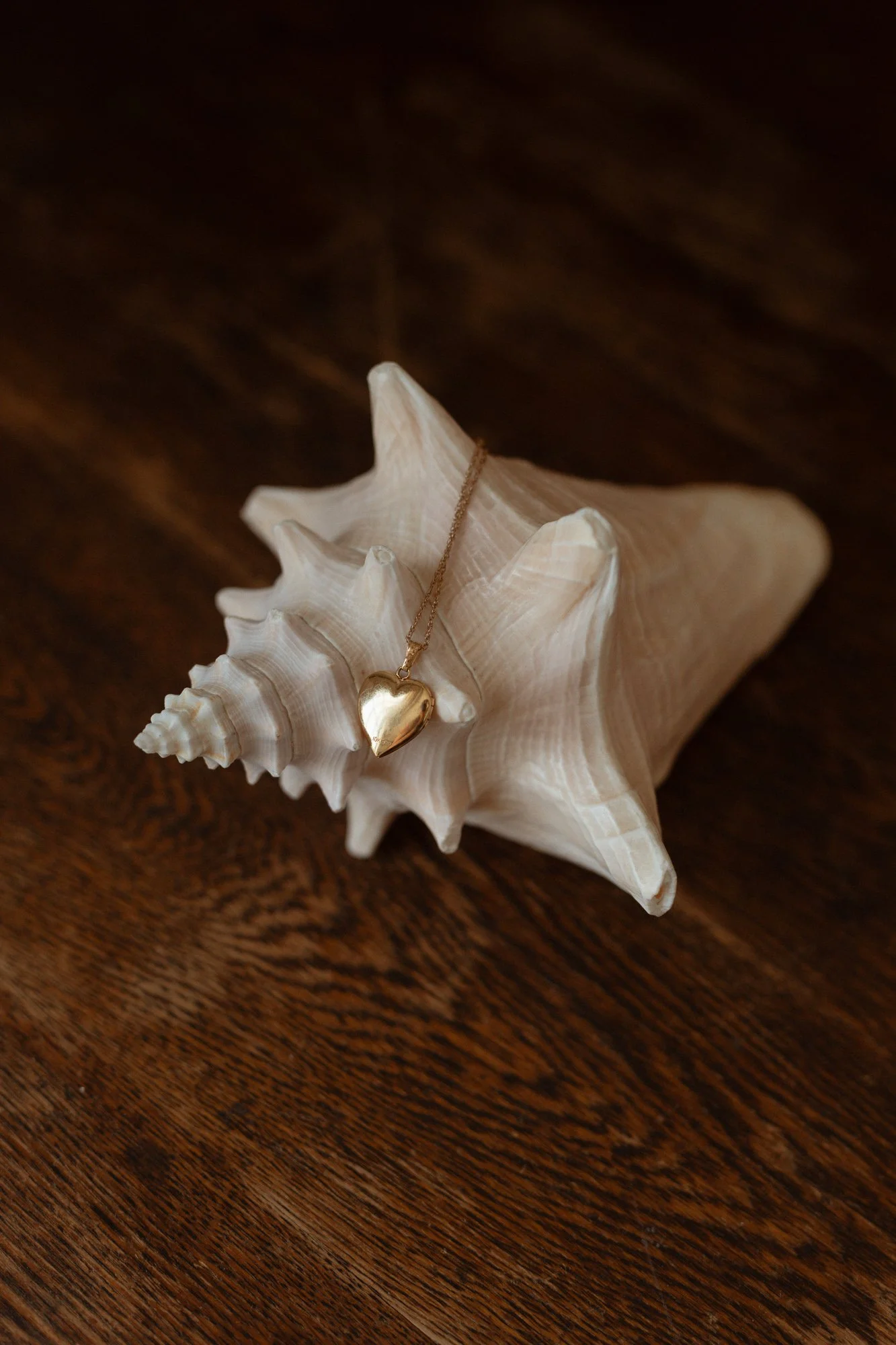 A gold heart-shaped pendant necklace resting on a beige conch shell placed on a dark wooden surface.