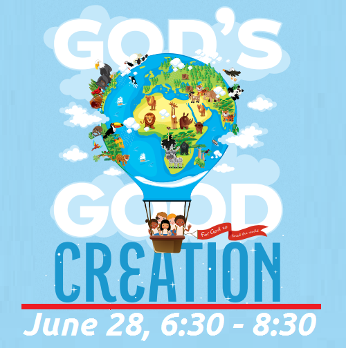 VBS Night.png