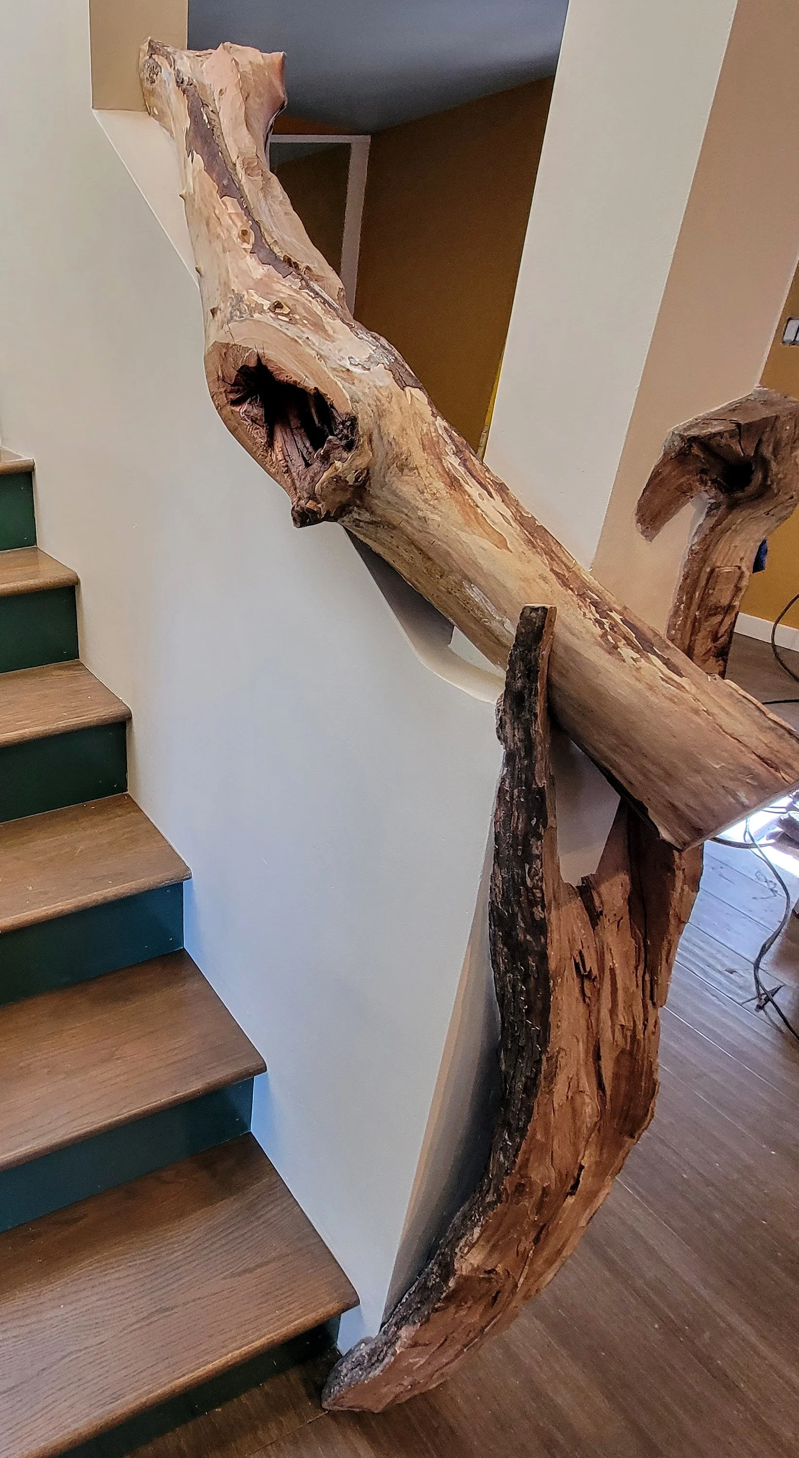 20220630_094543 (1).jpg