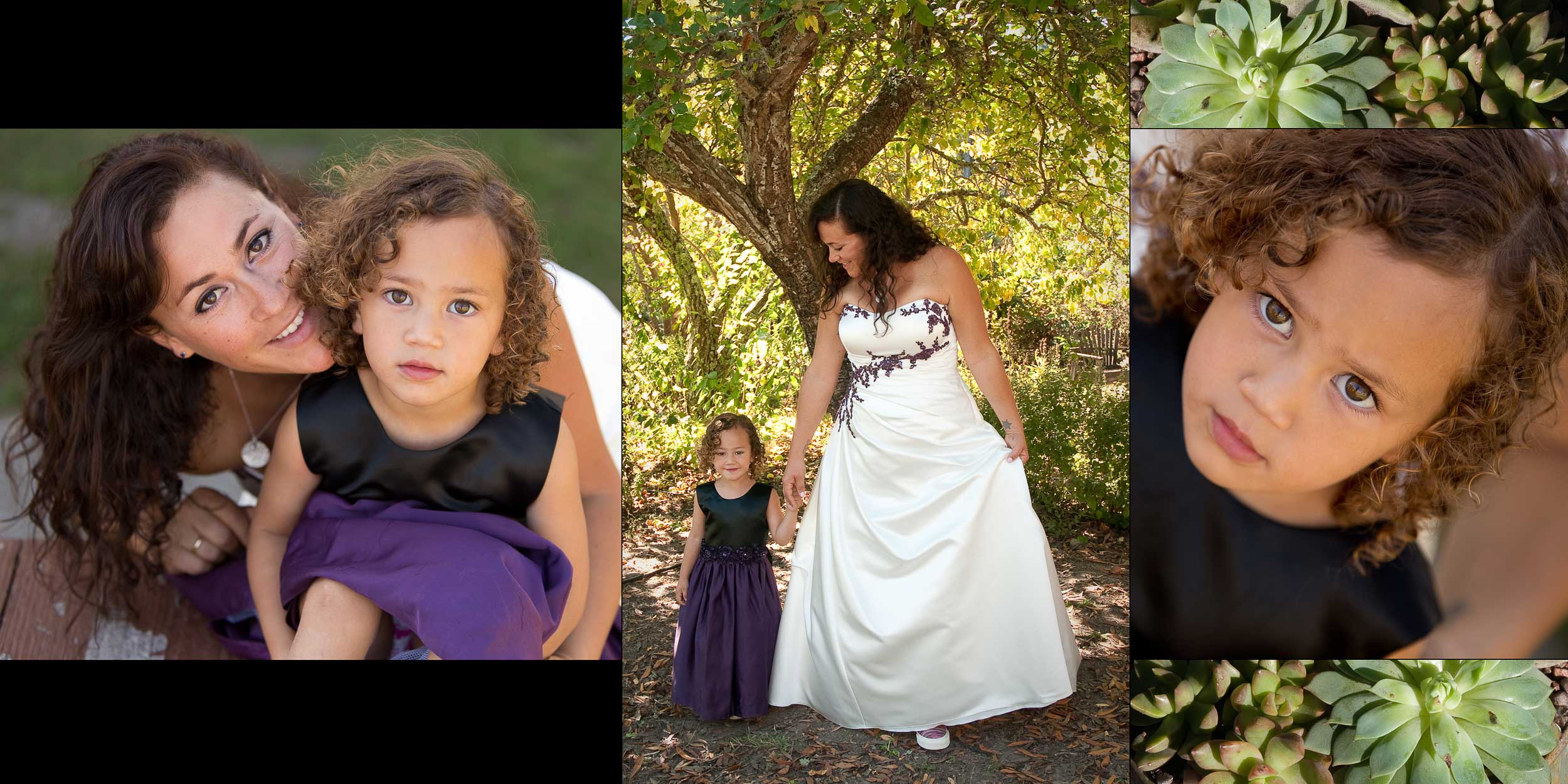 santa-cruz-wedding-photography-redwoodstosea-redwoods-arboretum-4.jpg