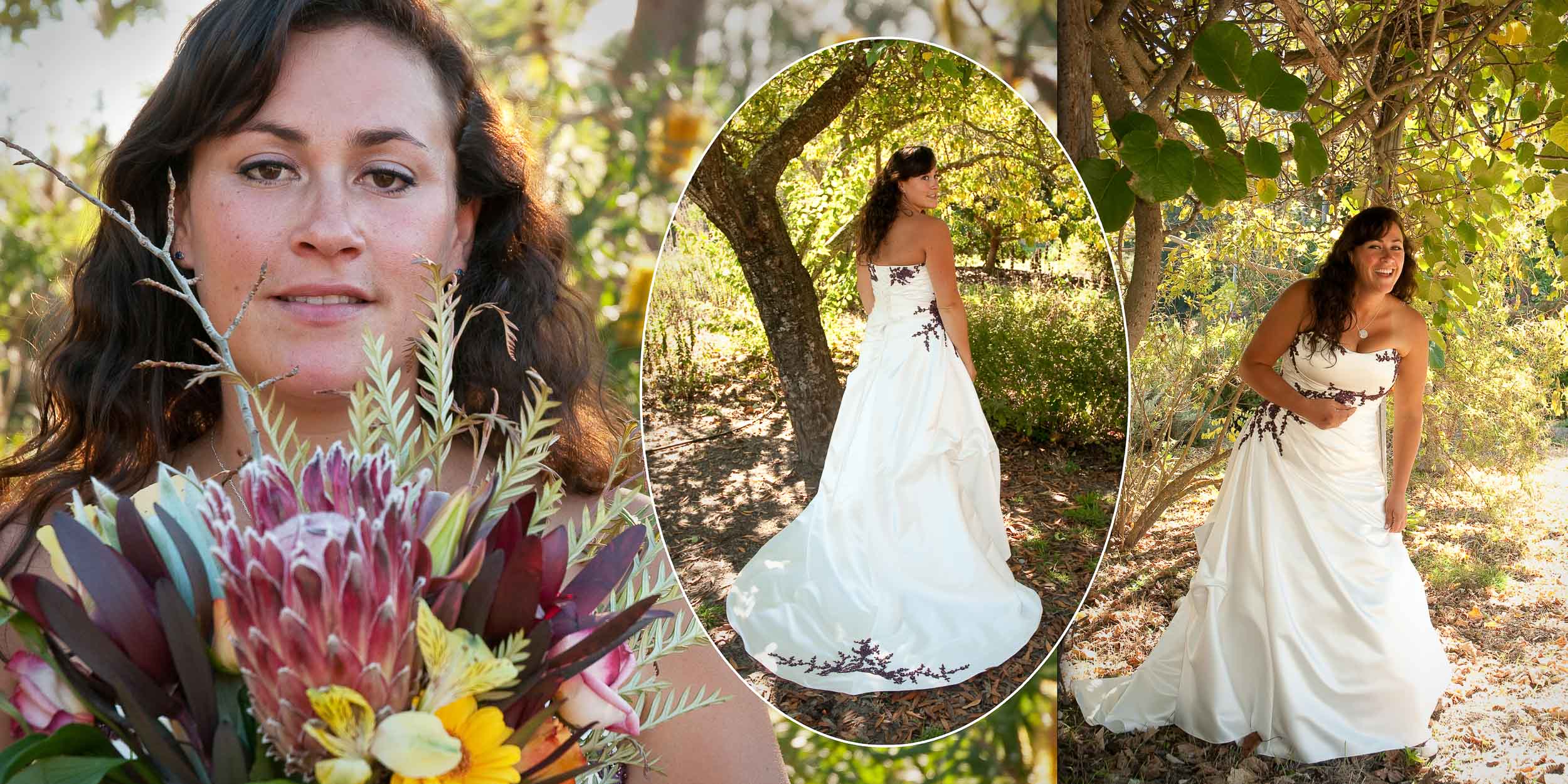 santa-cruz-wedding-photography-redwoodstosea-redwoods-arboretum-6.jpg