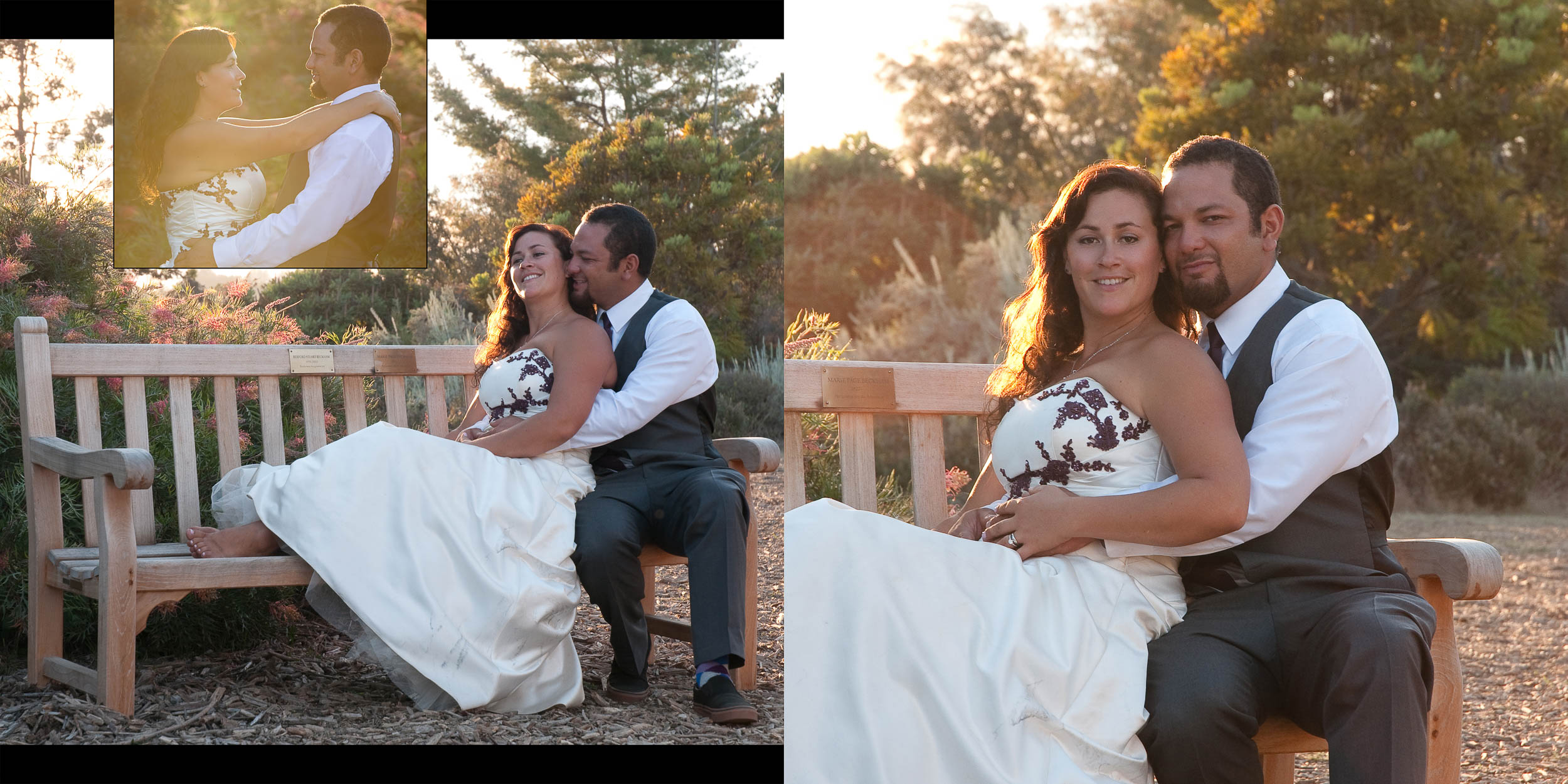 santa-cruz-wedding-photography-redwoodstosea-redwoods-arboretum-17.jpg