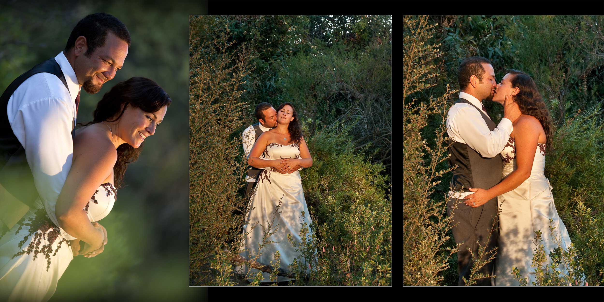 santa-cruz-wedding-photography-redwoodstosea-redwoods-arboretum-28.jpg