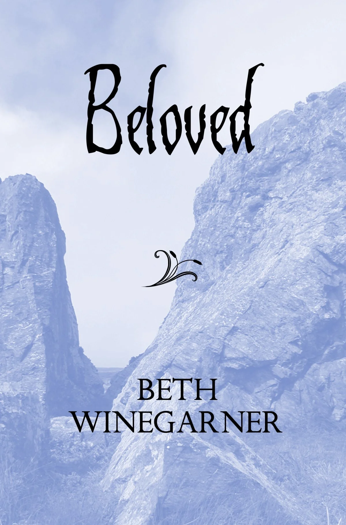 belovedcover-take2-web-med.jpg