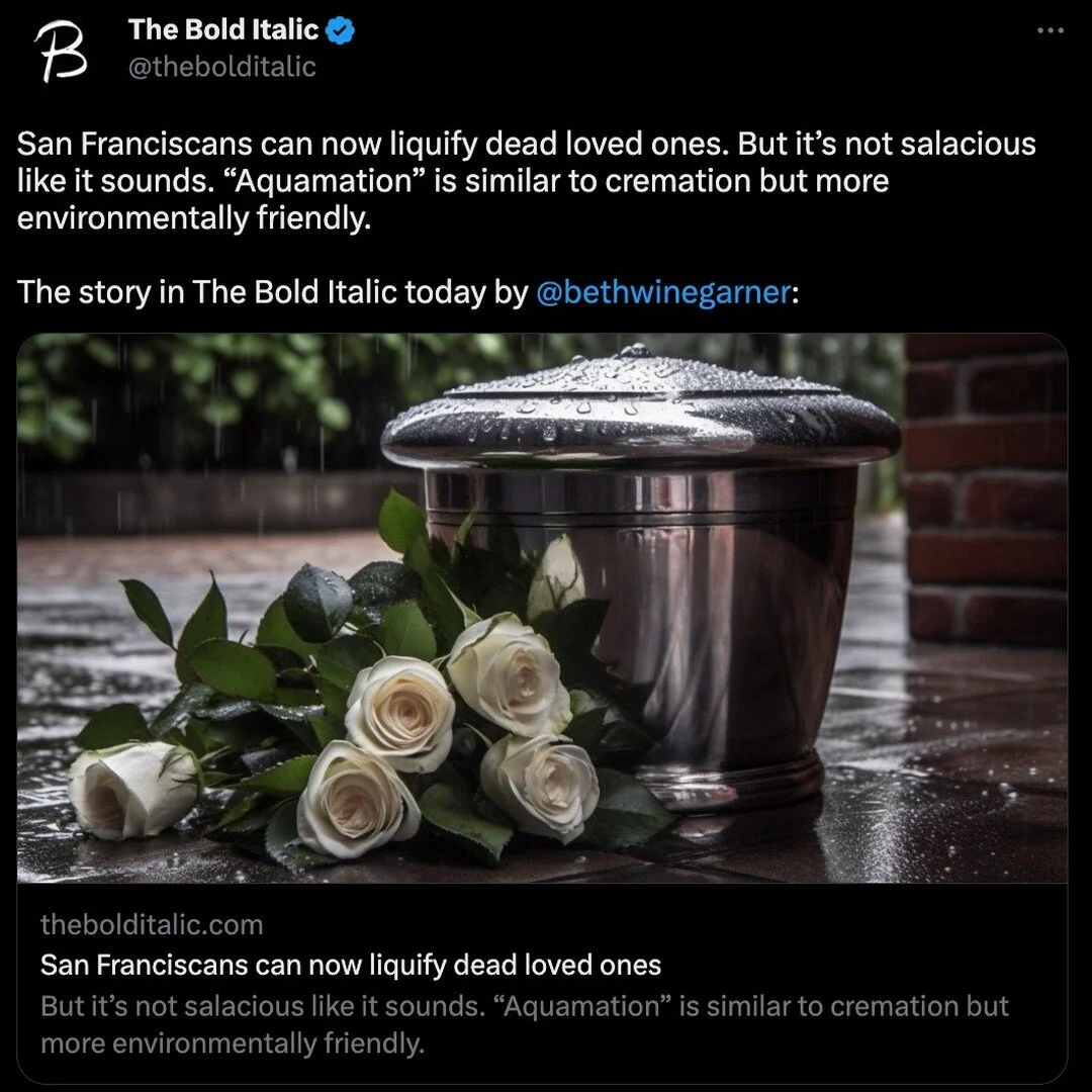 Aquamation is a great, environmentally friendlier alternative to cremation. Read more about it in my latest for @thebolditalic. Find the link over on their page, or my stories (today only). 
.
.
.
#aquamation #cremation #death #deathpractices #goodde