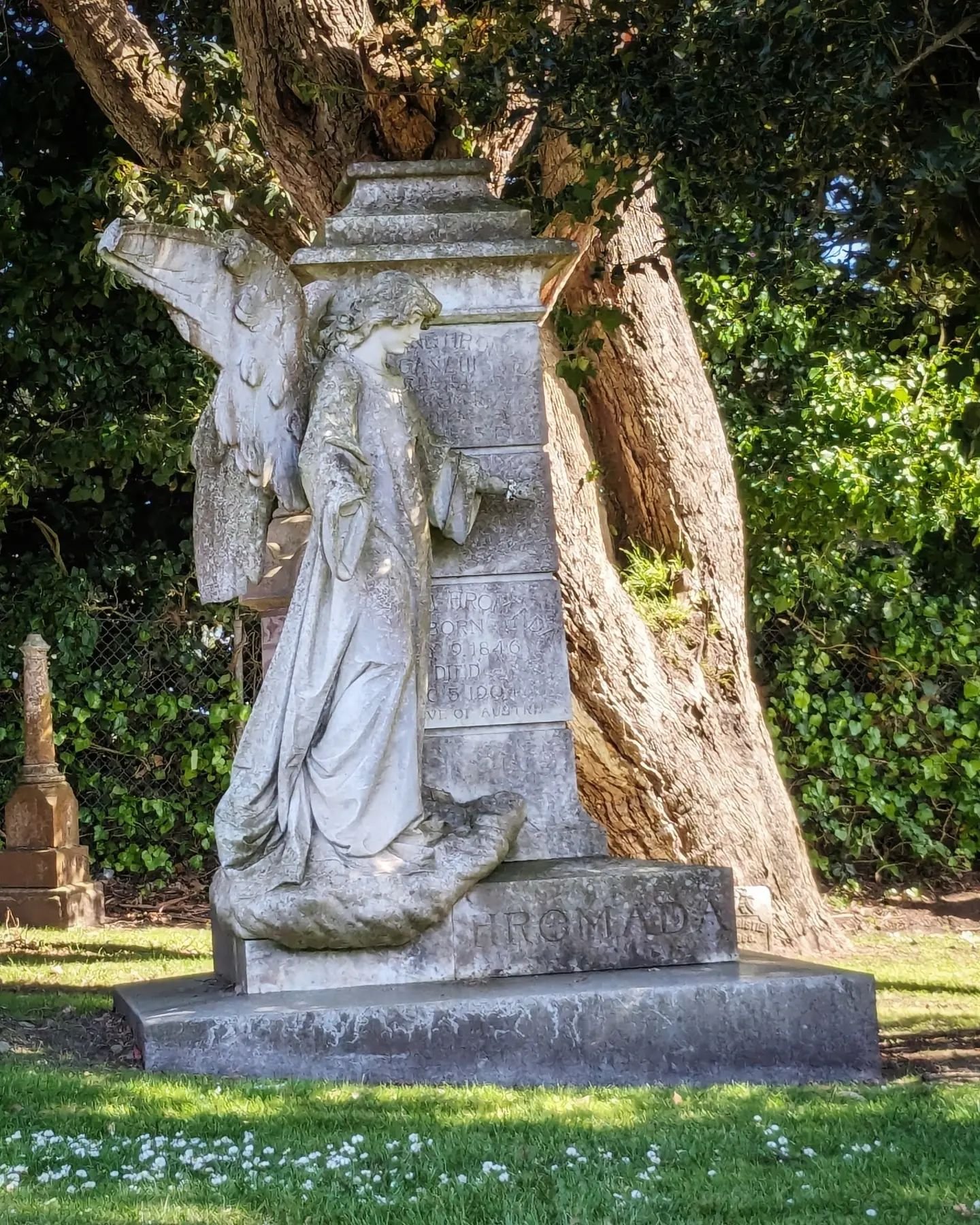 A few more angels &amp; others from Cypress Lawn. All these are in the older 'eastside' section. It's really a beautiful place.
.
.
.
#cypresslawn #cemetery #cemeteries #graveyard #sanfrancisco #sanfranciscohistory #californiahistory #taphophile #tap