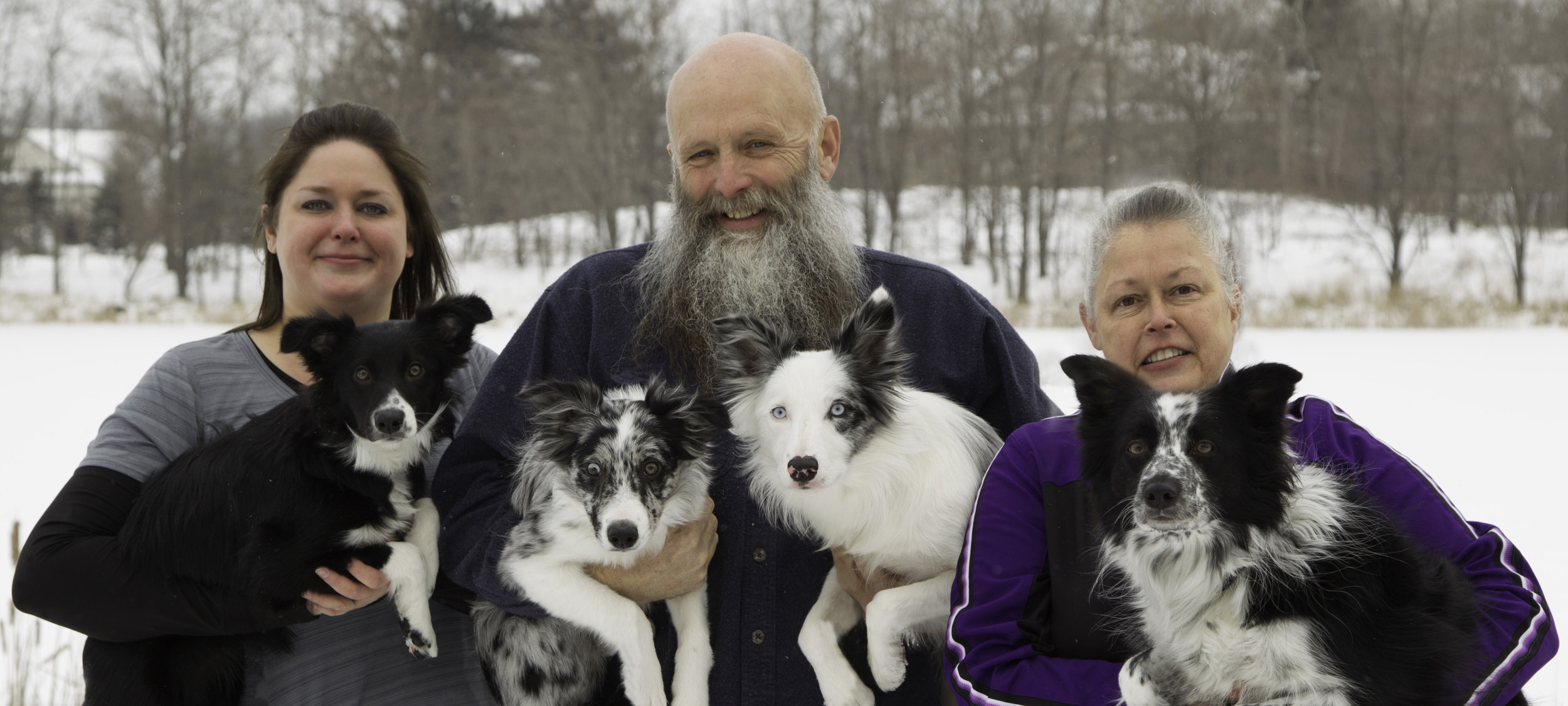 roughstock border collies