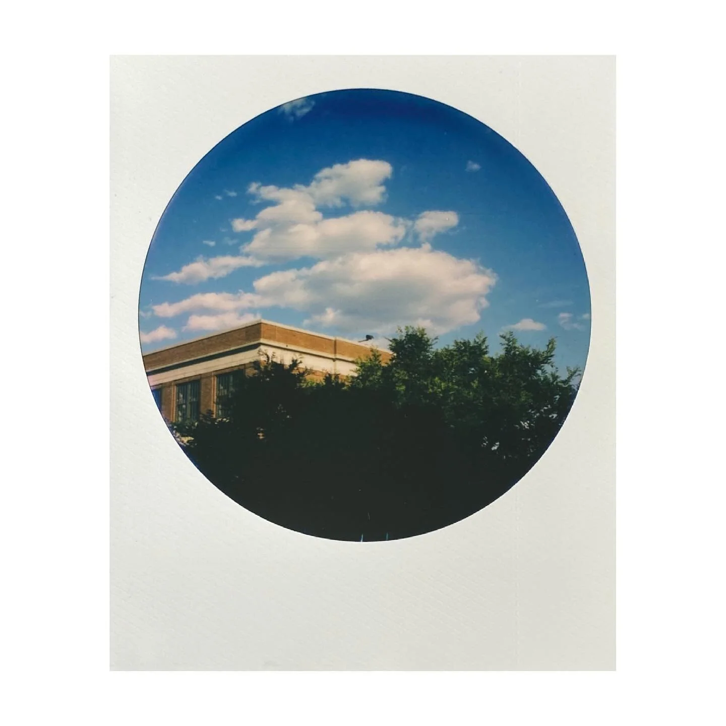 05.31.21
.
The back reads:
&ldquo;From Meditation I come to optimism, then I close the app&ldquo;
.

.
#mypolaroidnow #polaroid #sx70 #polaroidsx70 #circle #circleframe #roundframe #instantfilmsociety #filmisnotdead #instantfilm #instantfilmphotograp