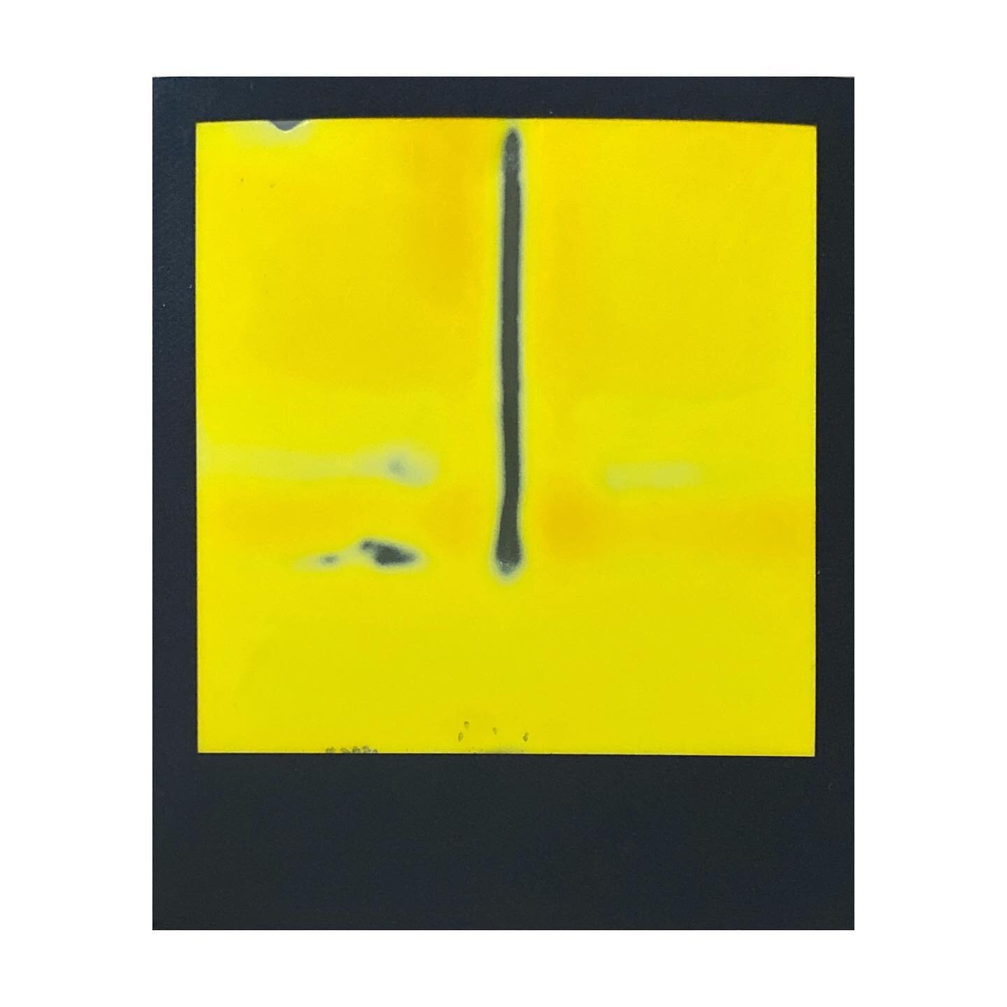 12.30.20
.
.
2 of 6 in a duo chrome series. 
.
#mypolaroidnow #polaroid #sx70 #polaroidsx70 #blackandwhite #instantfilmsociety #filmisnotdead #instantfilm #instantfilmphotography #retrospekt #modelb #retrospektmodelb #dumbo #dumbobk #brooklyn #duochr