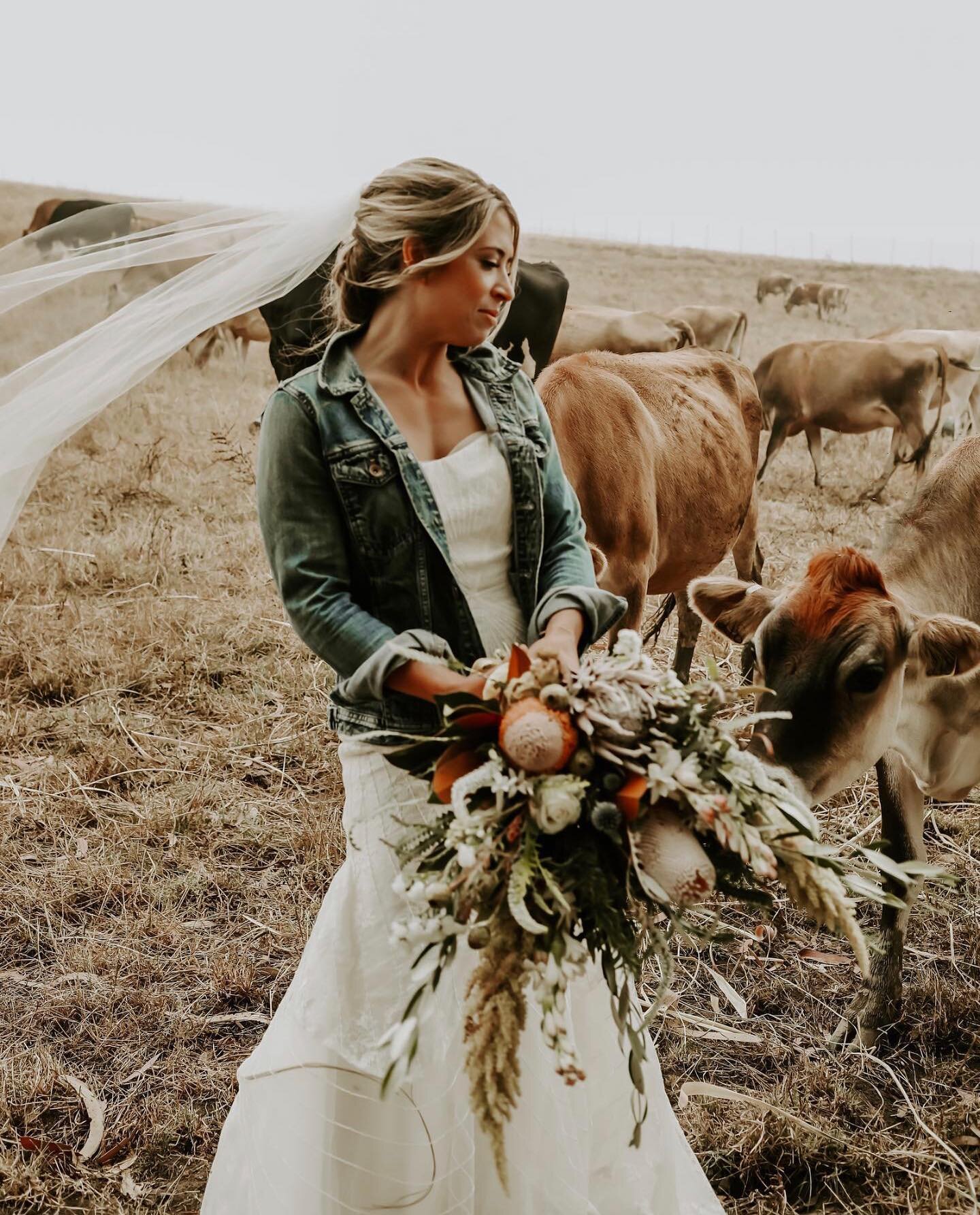 Experience the countryside of love at the #SpringHillEstate. 💛

Photo: @ashleegreenphotography
Makeup: @labellasoulartistry
Bride: @emma.byrne.rider
Flowers: @californiasister
.
.
.
.
#springhillweddings #caliweddings #countrywedding #weddingphotogr