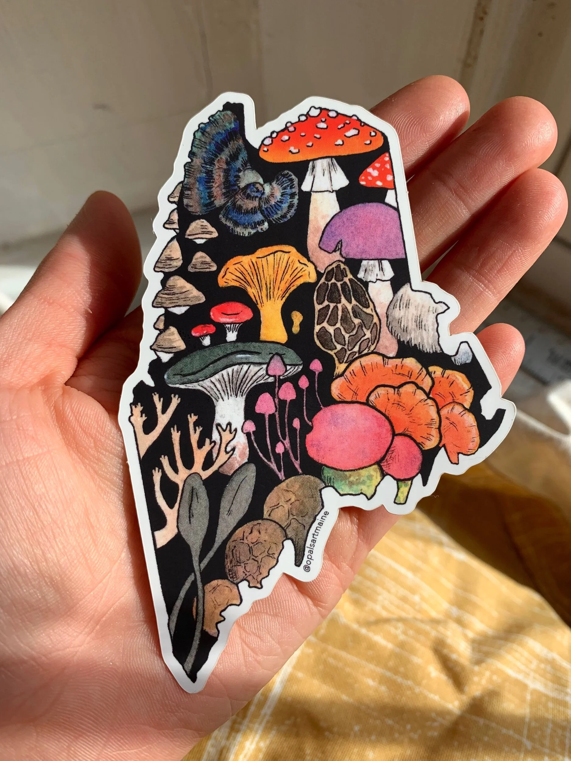 EF217253-1FB2-44F0-875C-DACFE56012FF