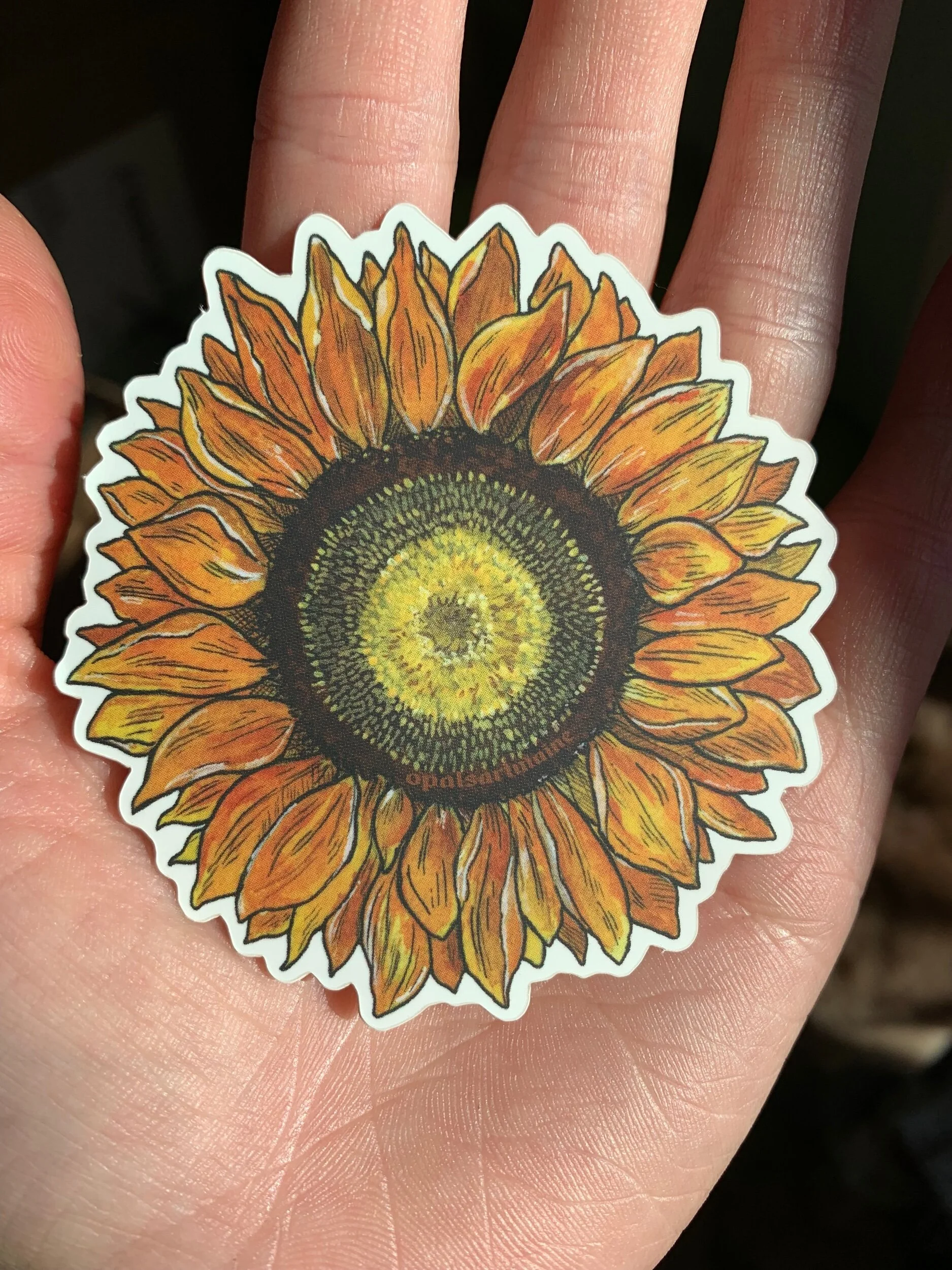 1E70BA23-DCDC-421A-A138-22000621101B