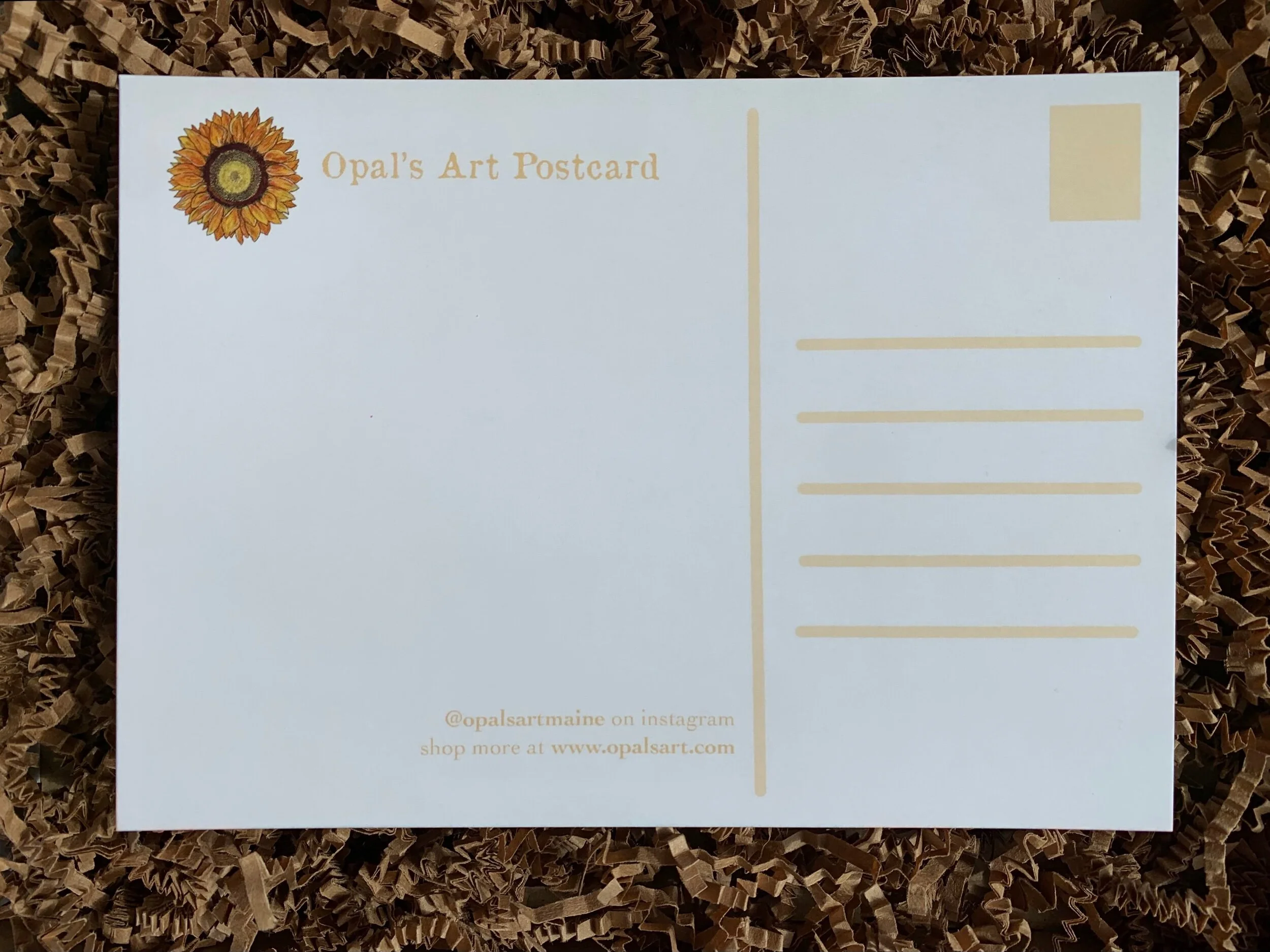 33E7F546-5506-4C01-9B4D-30EDD6686900